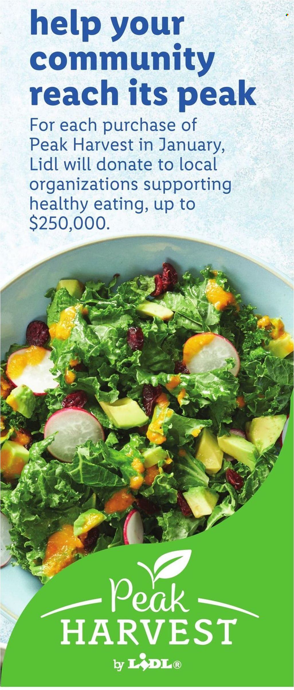 Lidl ad - 01/04/2023 - 01/10/2023. Page 4