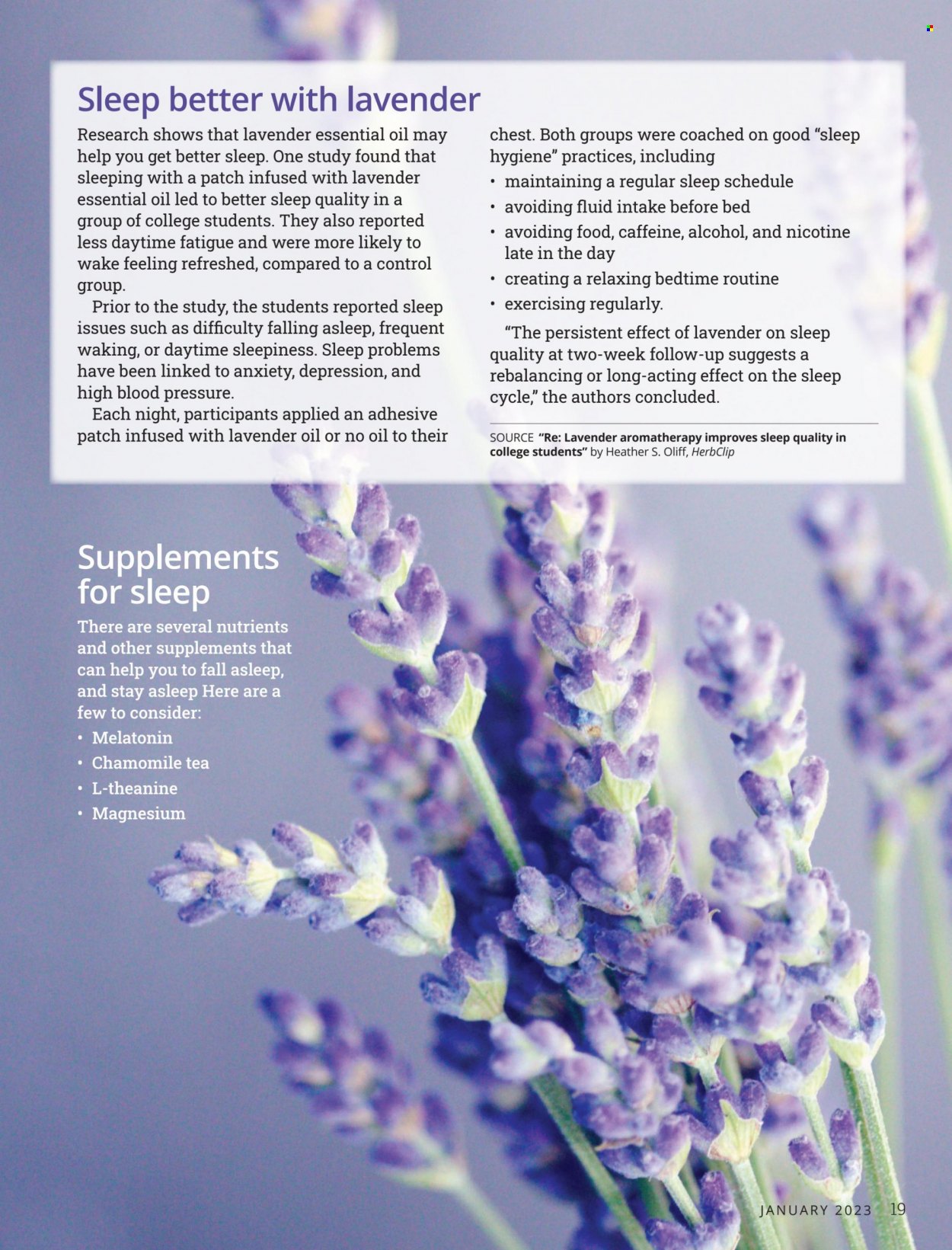Festival Foods ad - 01/01/2023 - 01/31/2023. Page 19