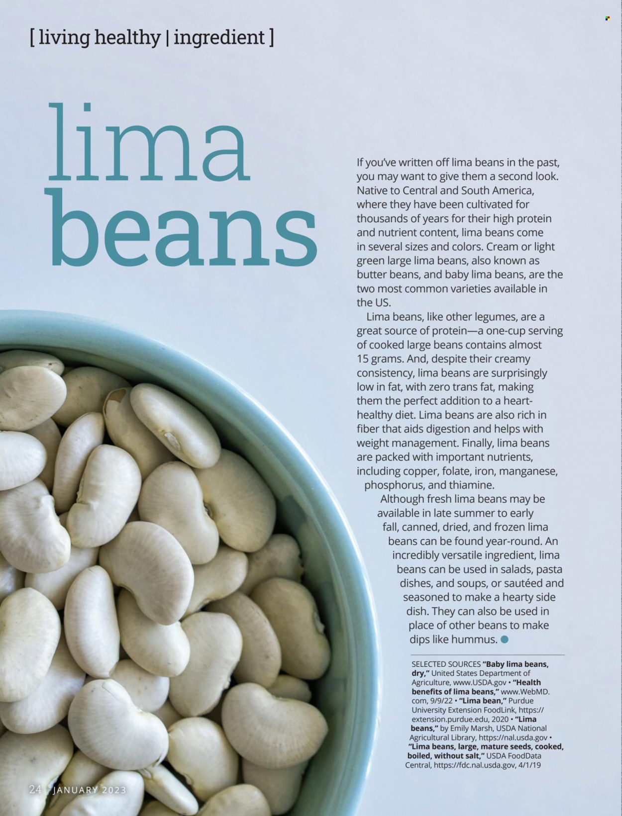 Festival Foods ad - 01/01/2023 - 01/31/2023. Page 24
