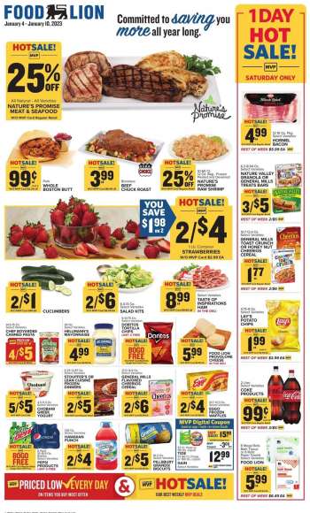 Food Lion Flyer - 01/04/2023 - 01/10/2023.