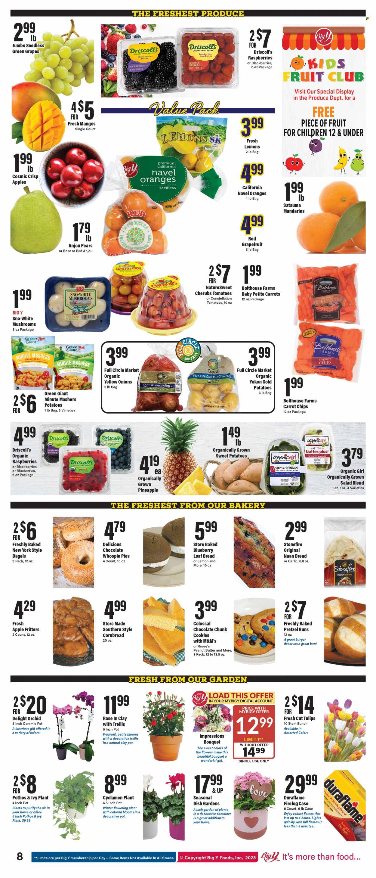Big Y ad - 01/12/2023 - 01/18/2023. Page 10