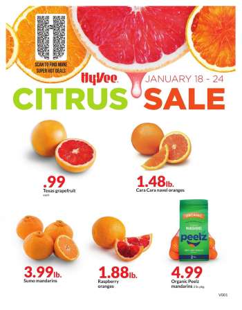 Hy-Vee Flyer - 01/18/2023 - 01/24/2023.