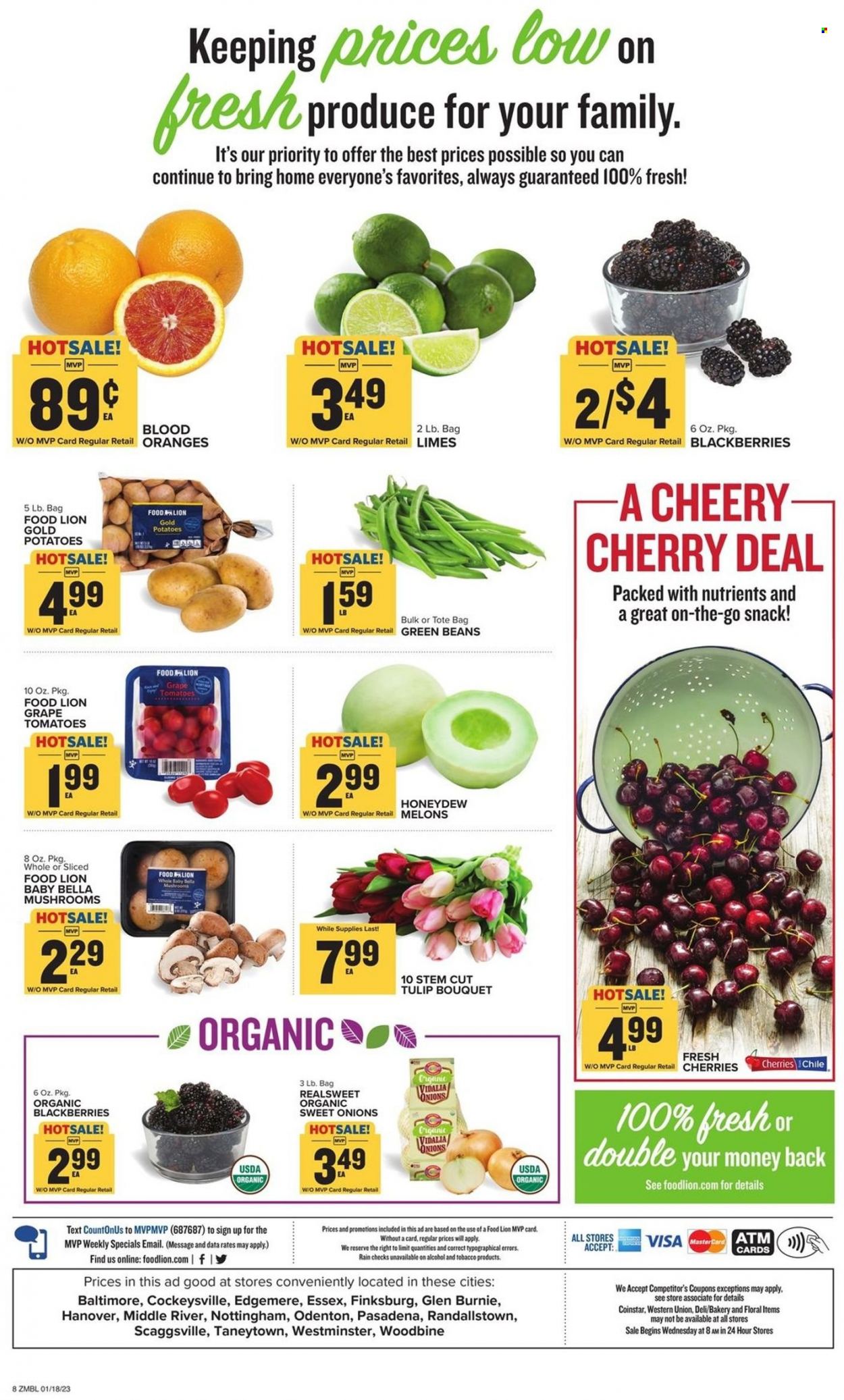 Food Lion ad - 01/18/2023 - 01/24/2023. Page 8