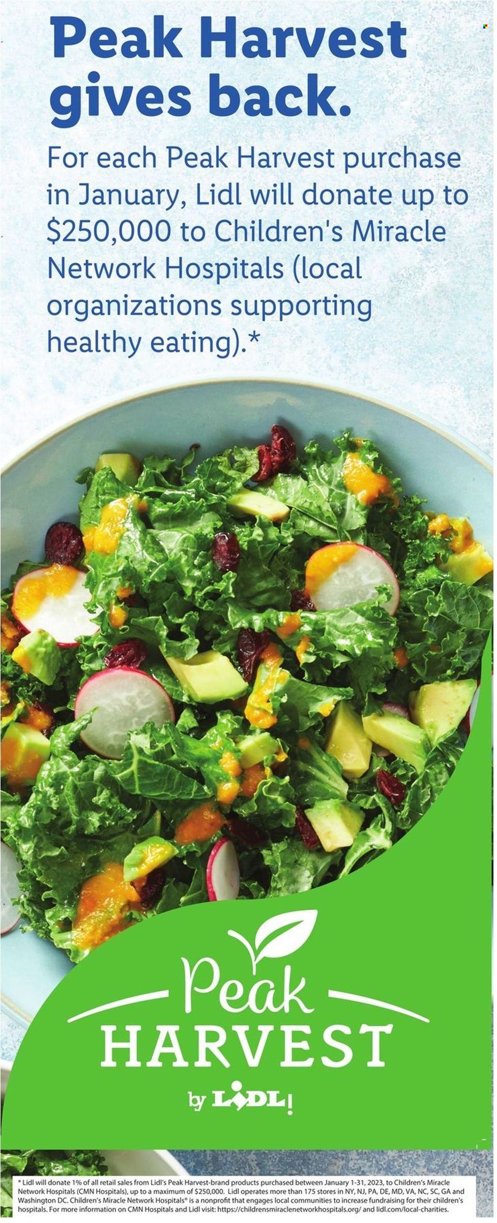 Lidl ad - 01/25/2023 - 01/31/2023. Page 6