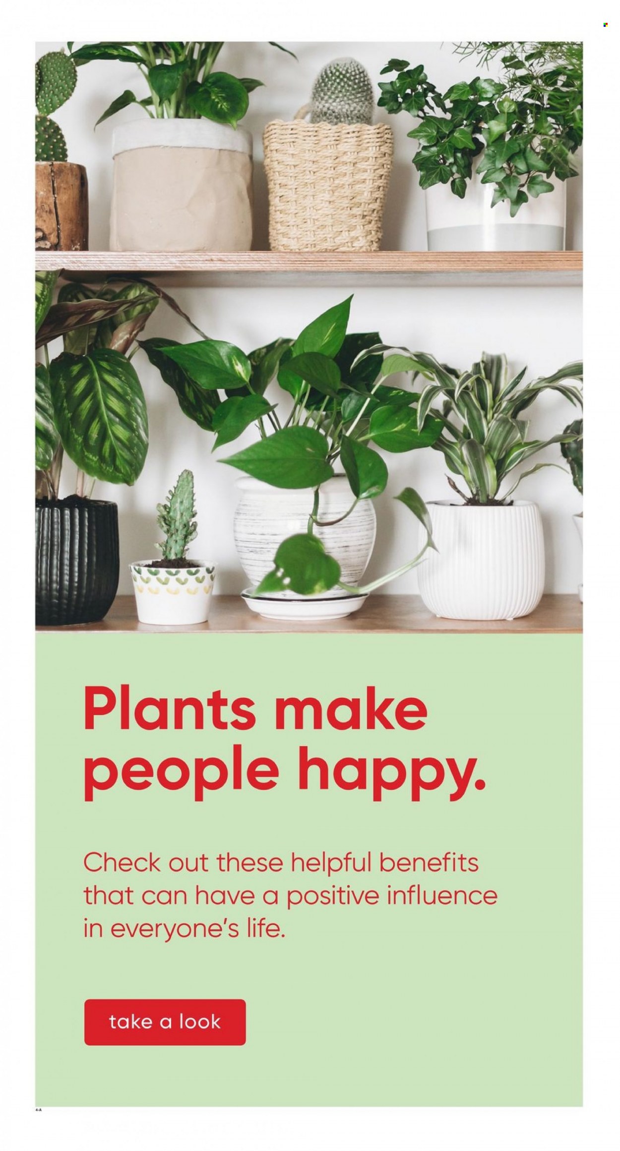 Stater Bros. ad - 01/25/2023 - 01/31/2023. Page 4