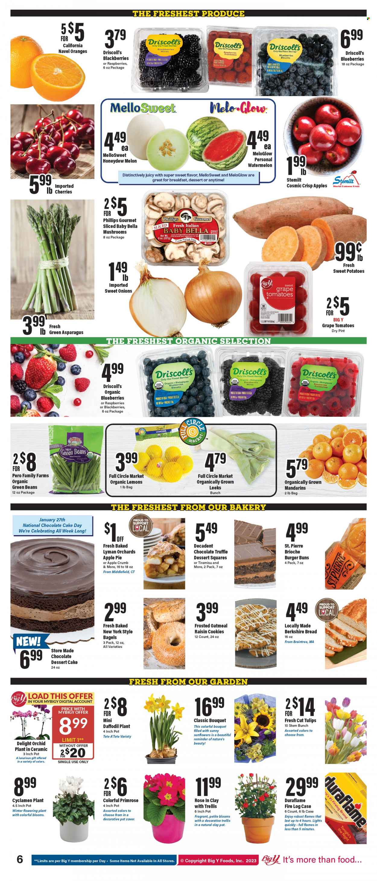 Big Y ad - 01/26/2023 - 02/01/2023. Page 7