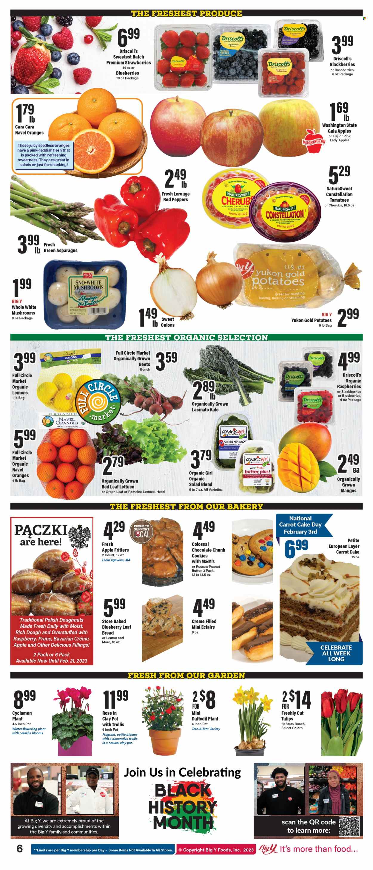 Big Y ad - 02/02/2023 - 02/08/2023. Page 7