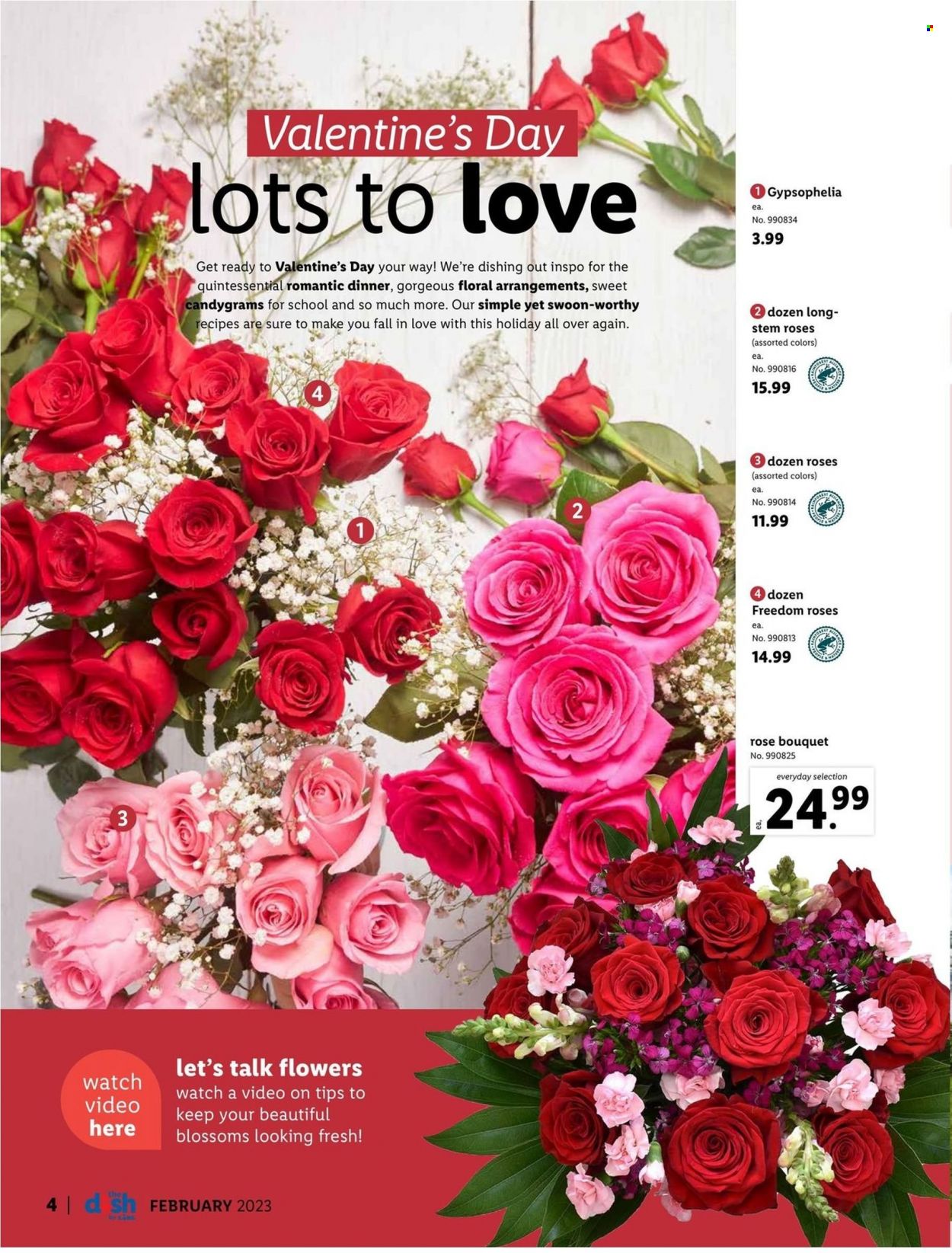 Lidl ad - 02/01/2023 - 02/28/2023. Page 4