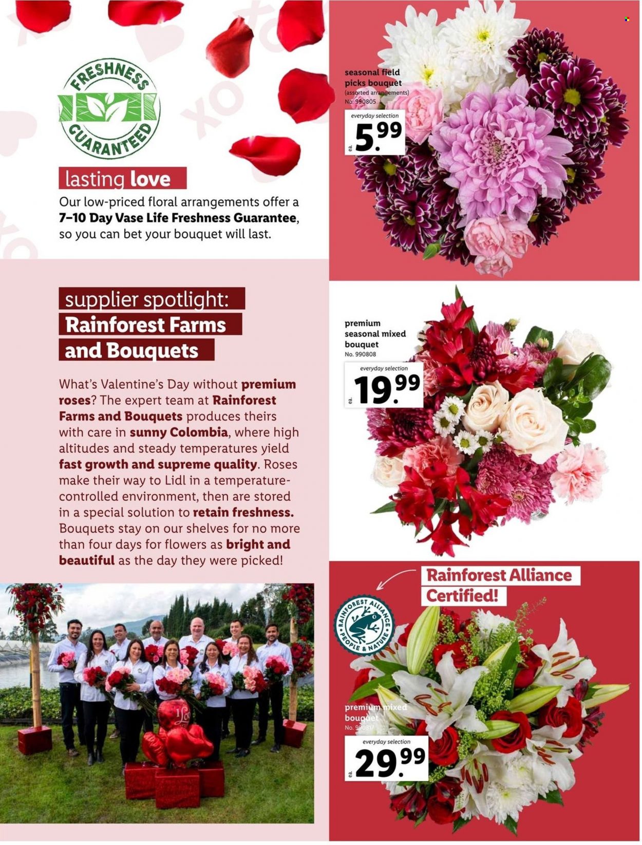 Lidl ad - 02/01/2023 - 02/28/2023. Page 5