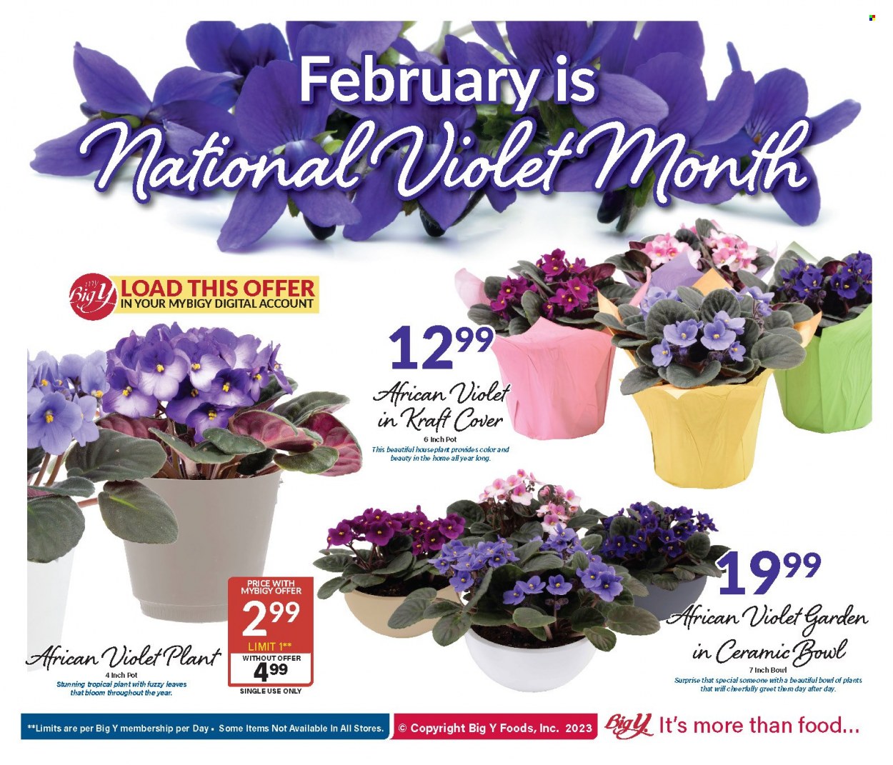 Big Y ad - 02/16/2023 - 02/22/2023. Page 8