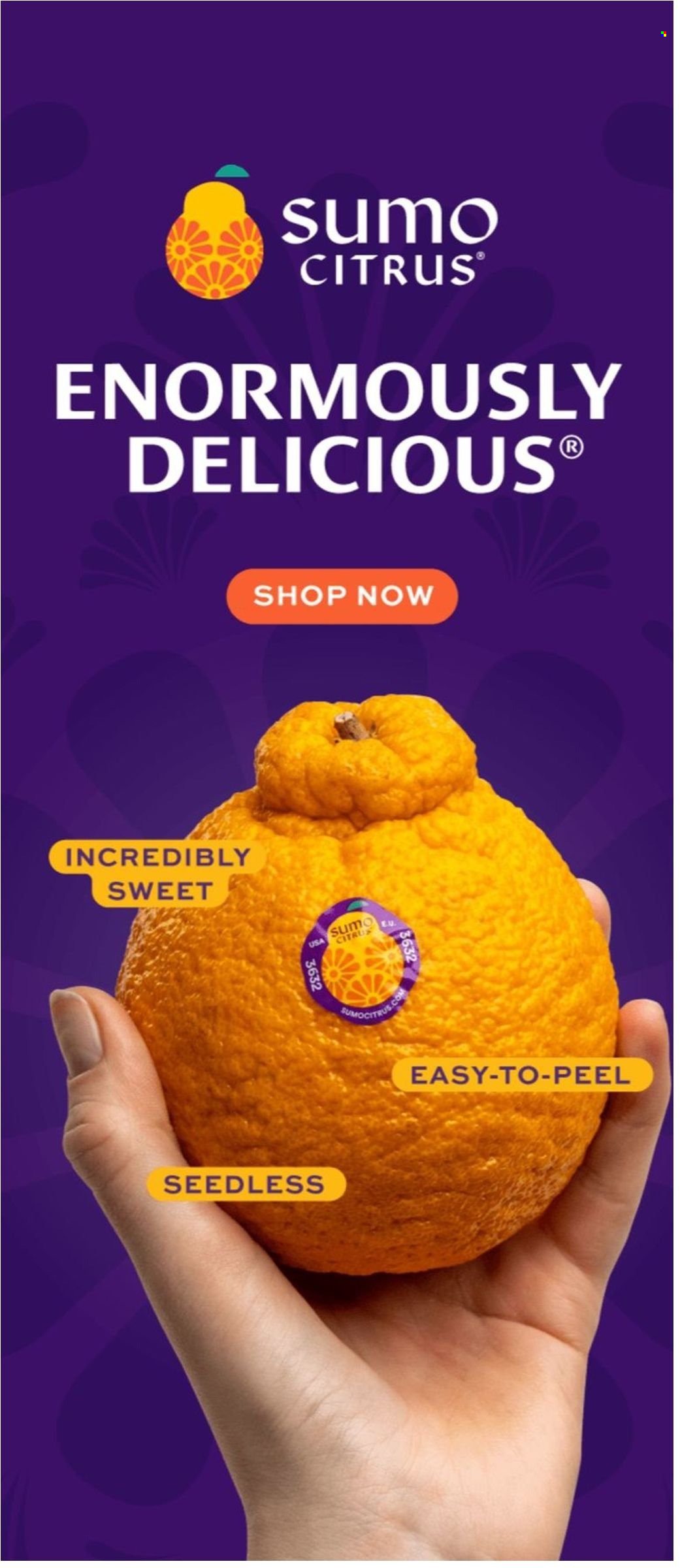 Giant Food ad - 02/17/2023 - 02/23/2023. Page 18