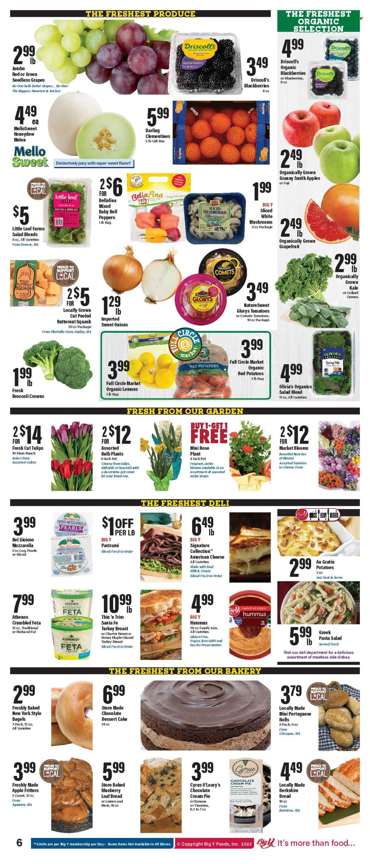 Big Y ad - 02/23/2023 - 03/01/2023. Page 7