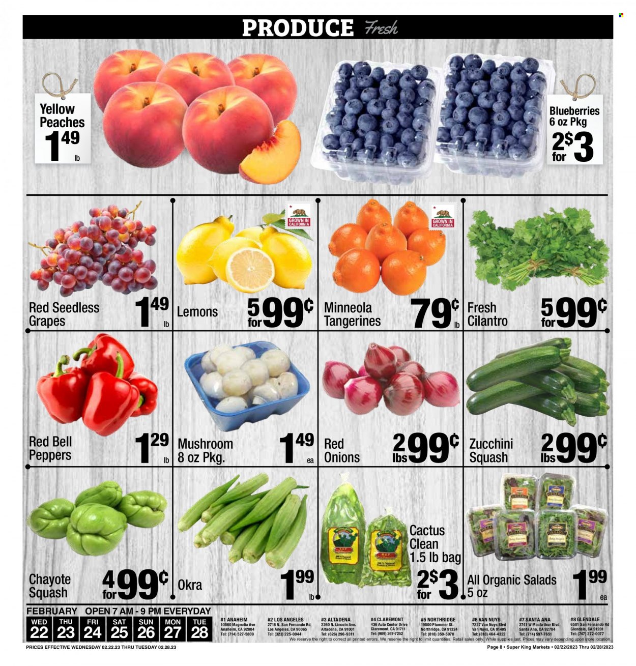 Super King Markets ad - 02/22/2023 - 02/28/2023. Page 8