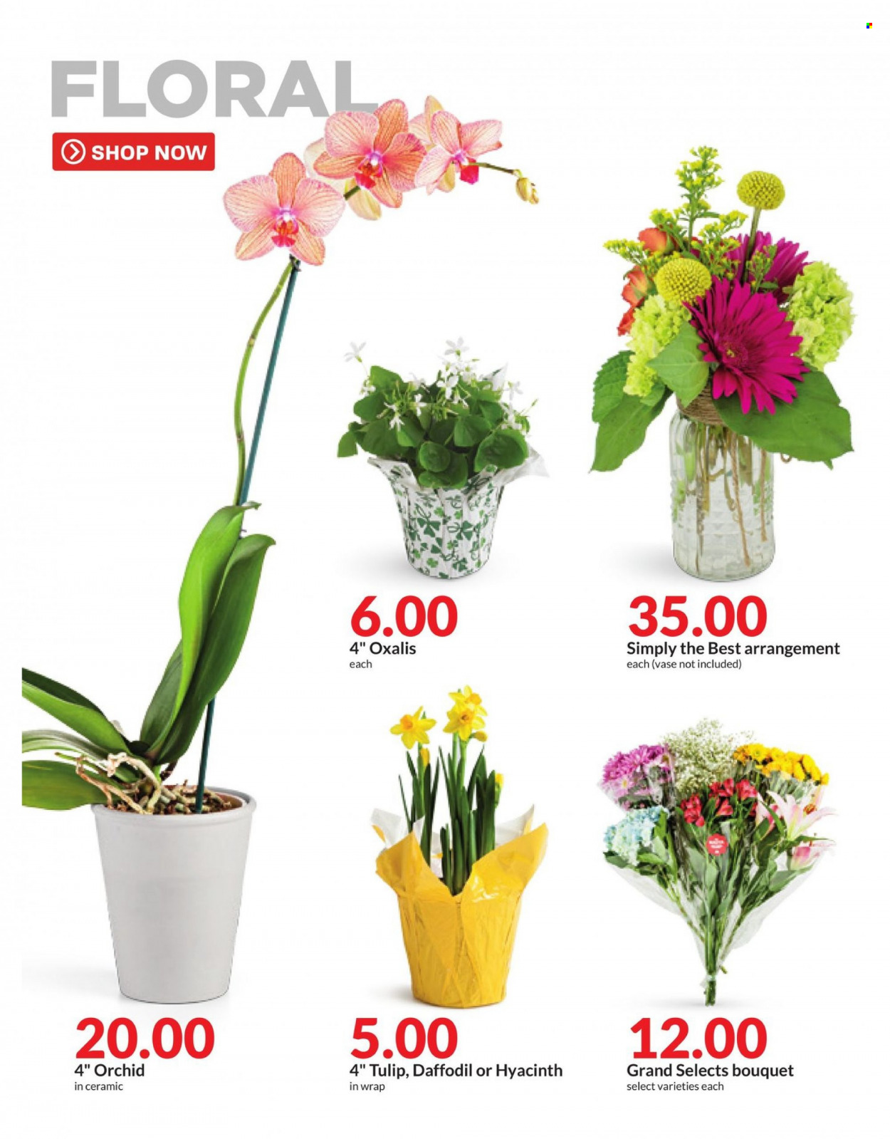 Hy-Vee ad - 03/01/2023 - 03/07/2023. Page 41