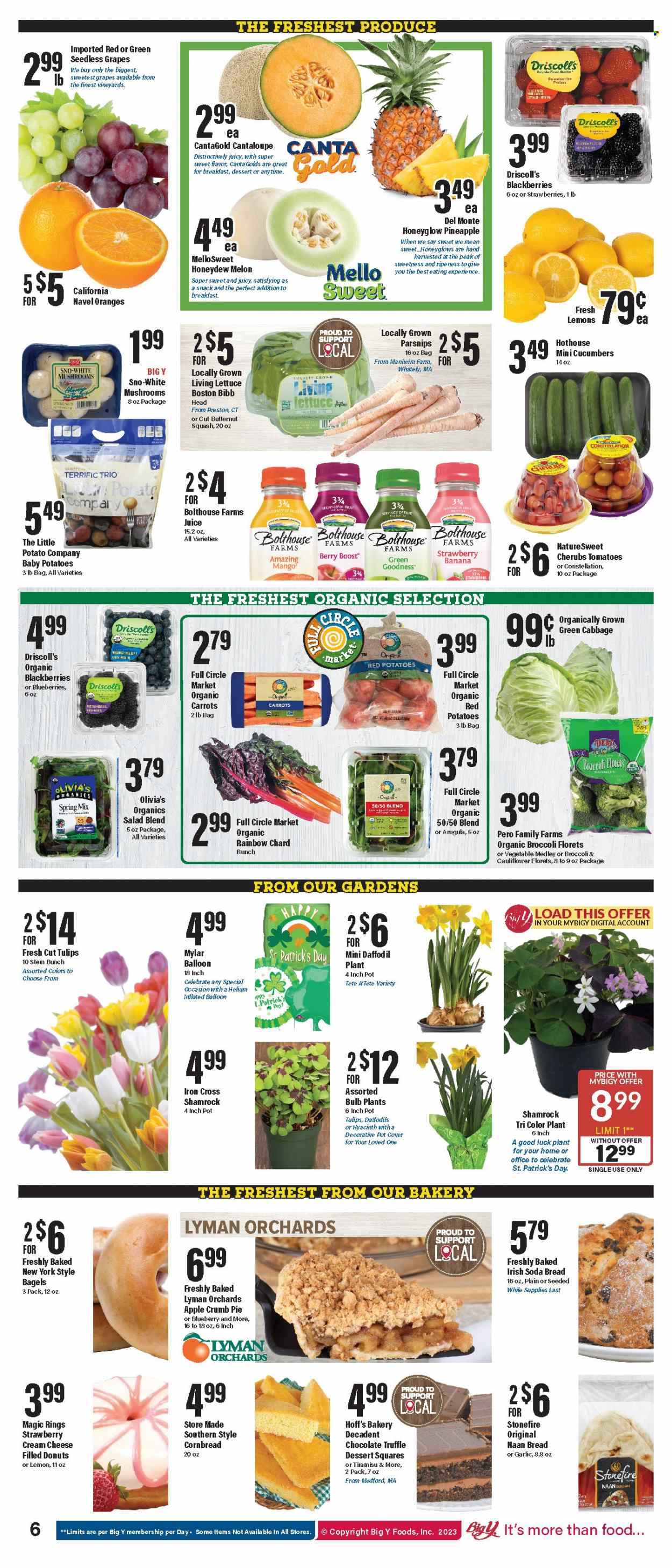Big Y ad - 03/09/2023 - 03/15/2023. Page 7