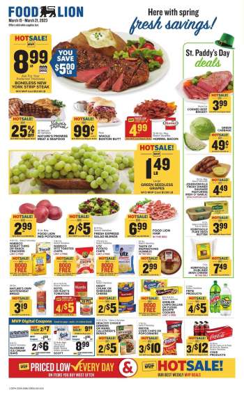 Food Lion Flyer - 03/15/2023 - 03/21/2023.