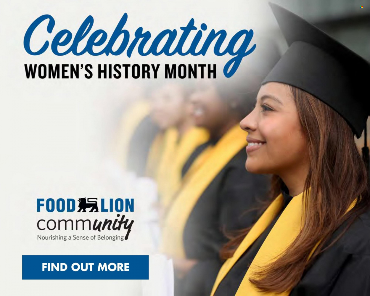Food Lion ad - 03/15/2023 - 03/21/2023. Page 11