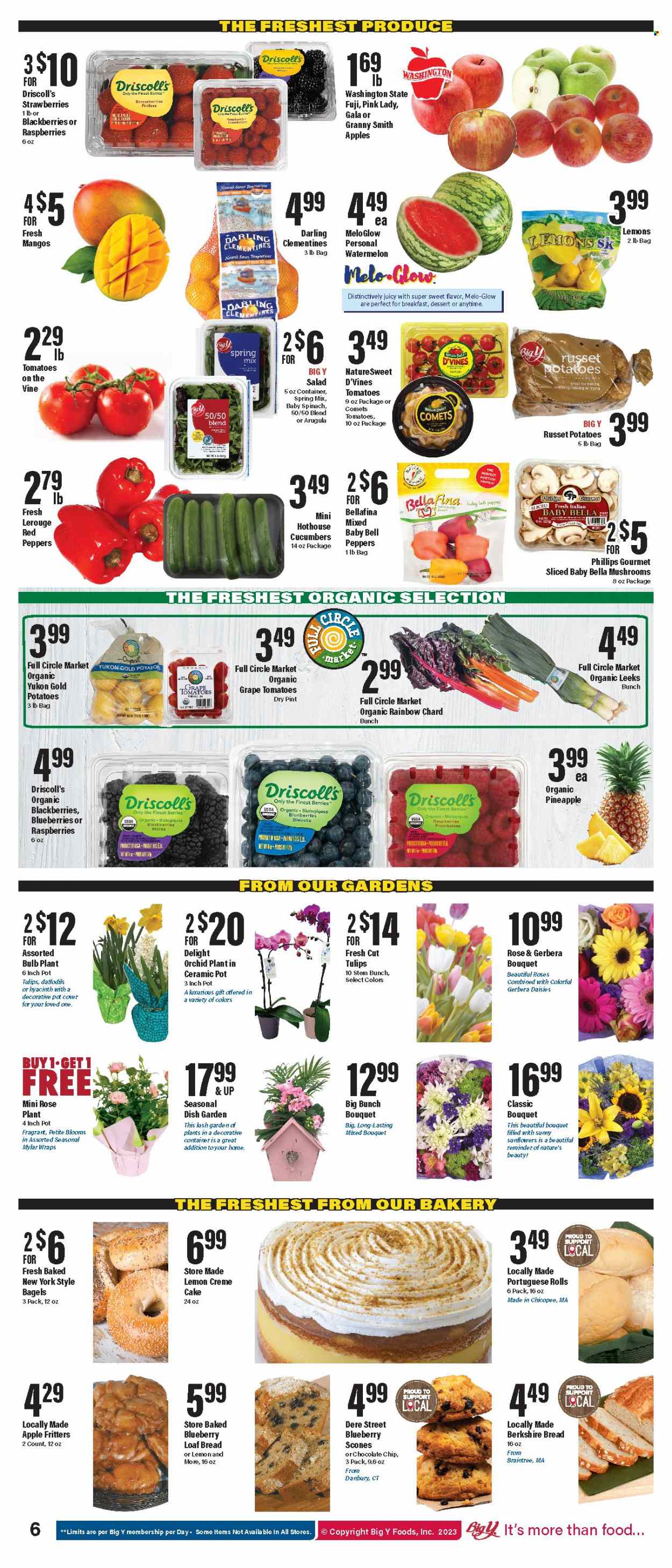 Big Y ad - 03/23/2023 - 03/29/2023. Page 7