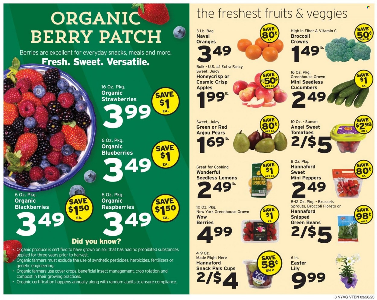 thumbnail - Hannaford Flyer - 03/26/2023 - 04/01/2023 - Sales products - beans, cucumber, green beans, tomatoes, peppers, brussel sprouts, apples, blackberries, blueberries, strawberries, pears, oranges, snack, Ron Pelicano, cup, lily, vitamin c, lemons, navel oranges. Page 3.