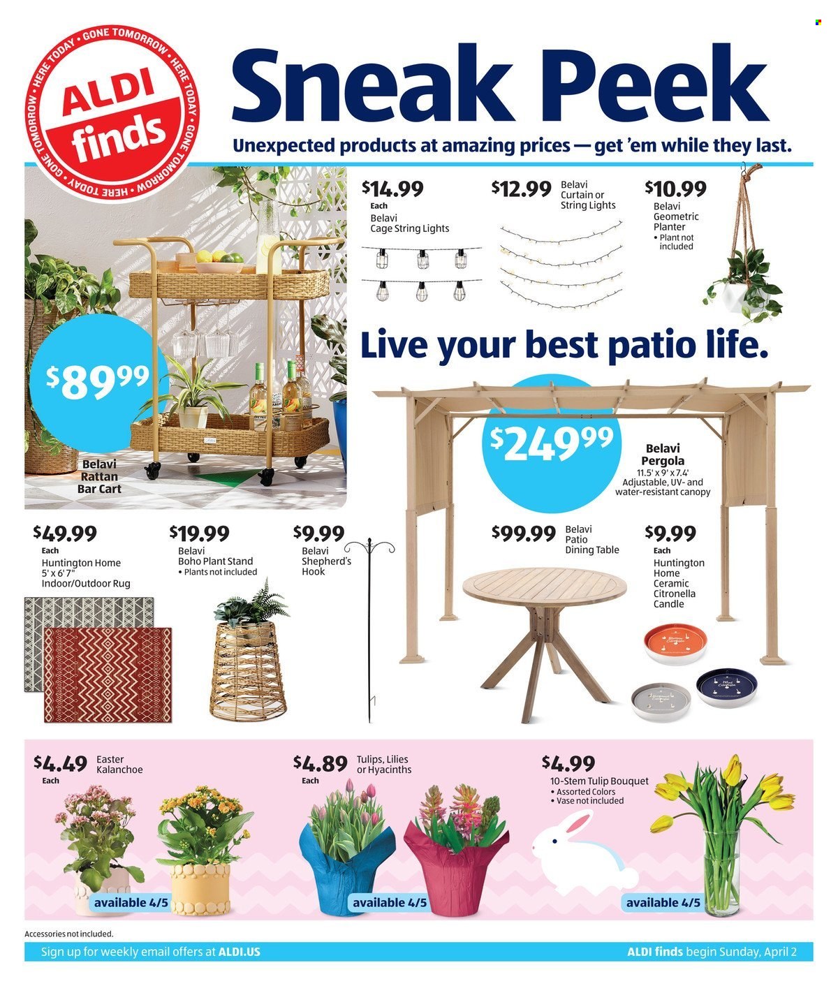 thumbnail - ALDI Flyer - 04/02/2023 - 04/08/2023 - Sales products - water, candle, curtain, cage, table, string lights, rug, cart, pergola, tulip, bouquet, lily, plant pot, plant stand. Page 1.