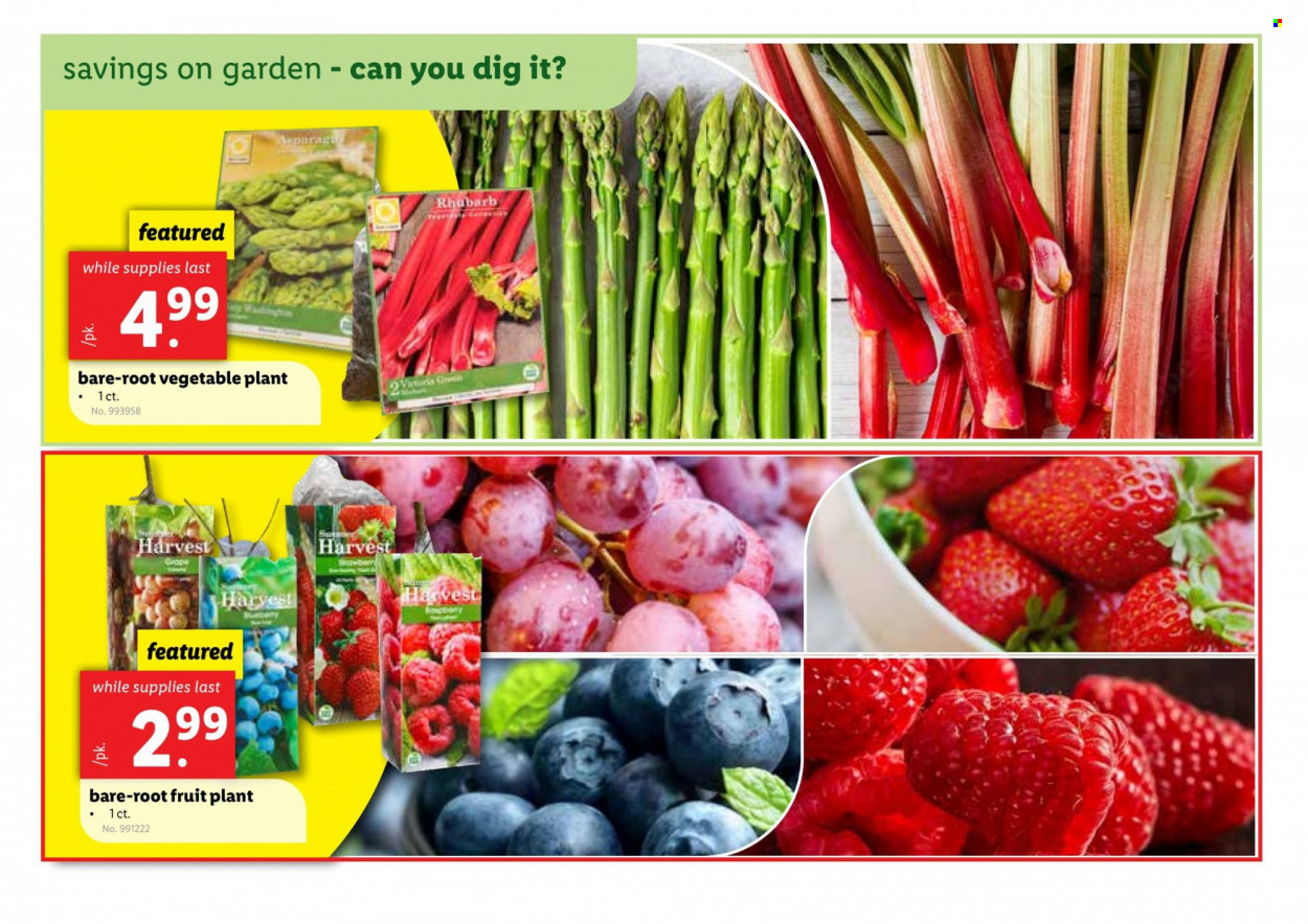 Lidl ad - 03/29/2023 - 04/04/2023. Page 4
