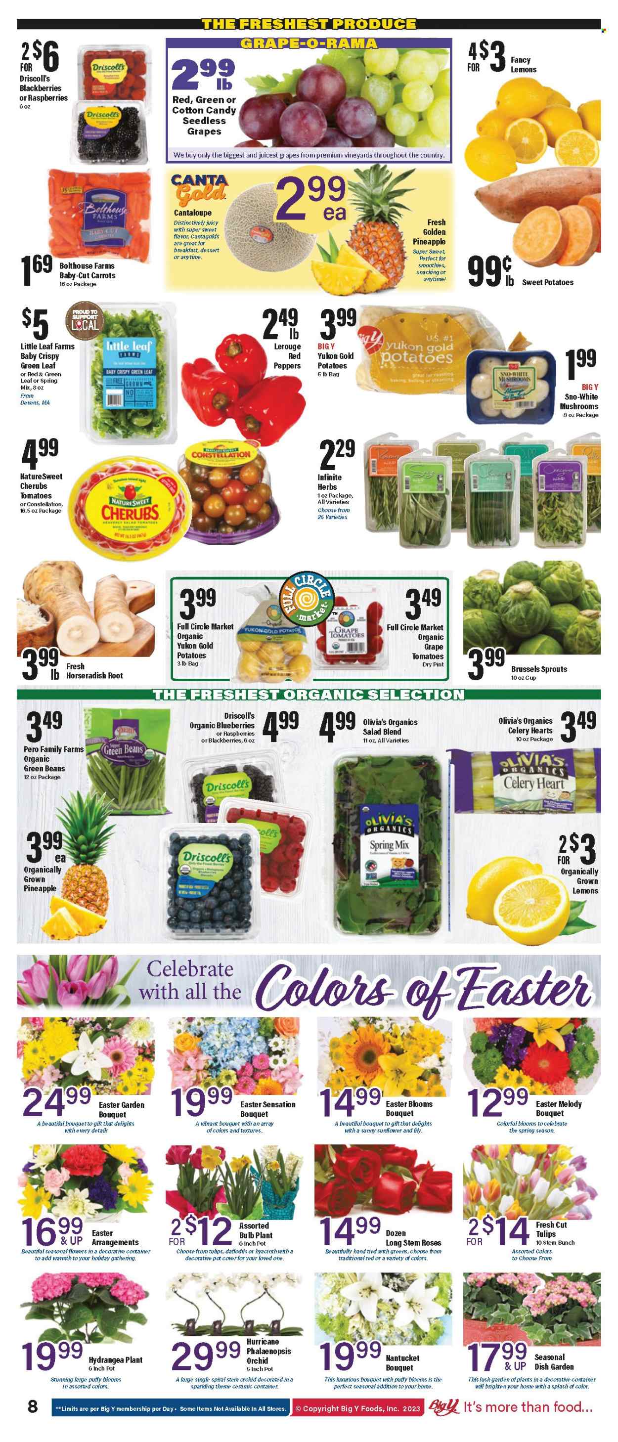Big Y ad - 03/30/2023 - 04/12/2023. Page 9