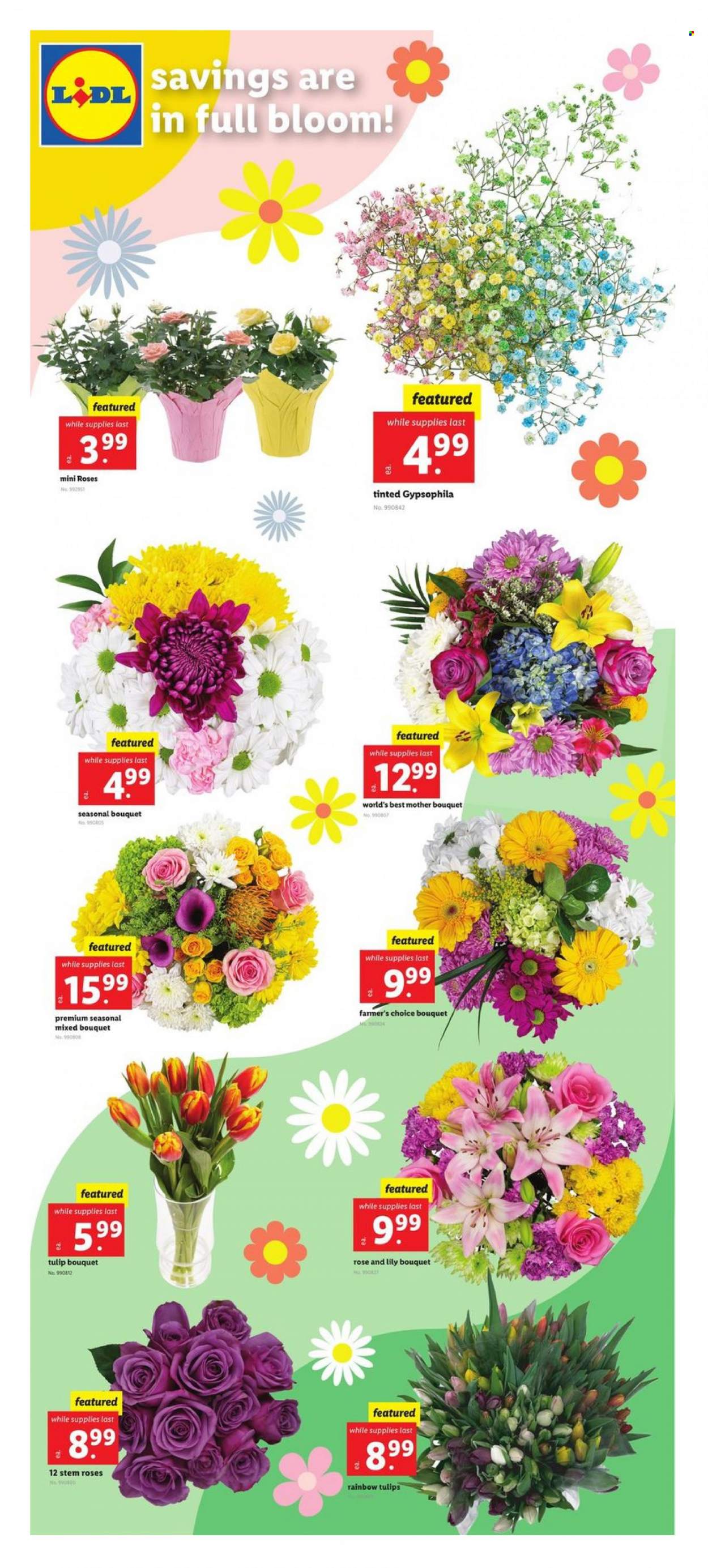 Lidl ad - 04/05/2023 - 04/11/2023. Page 5