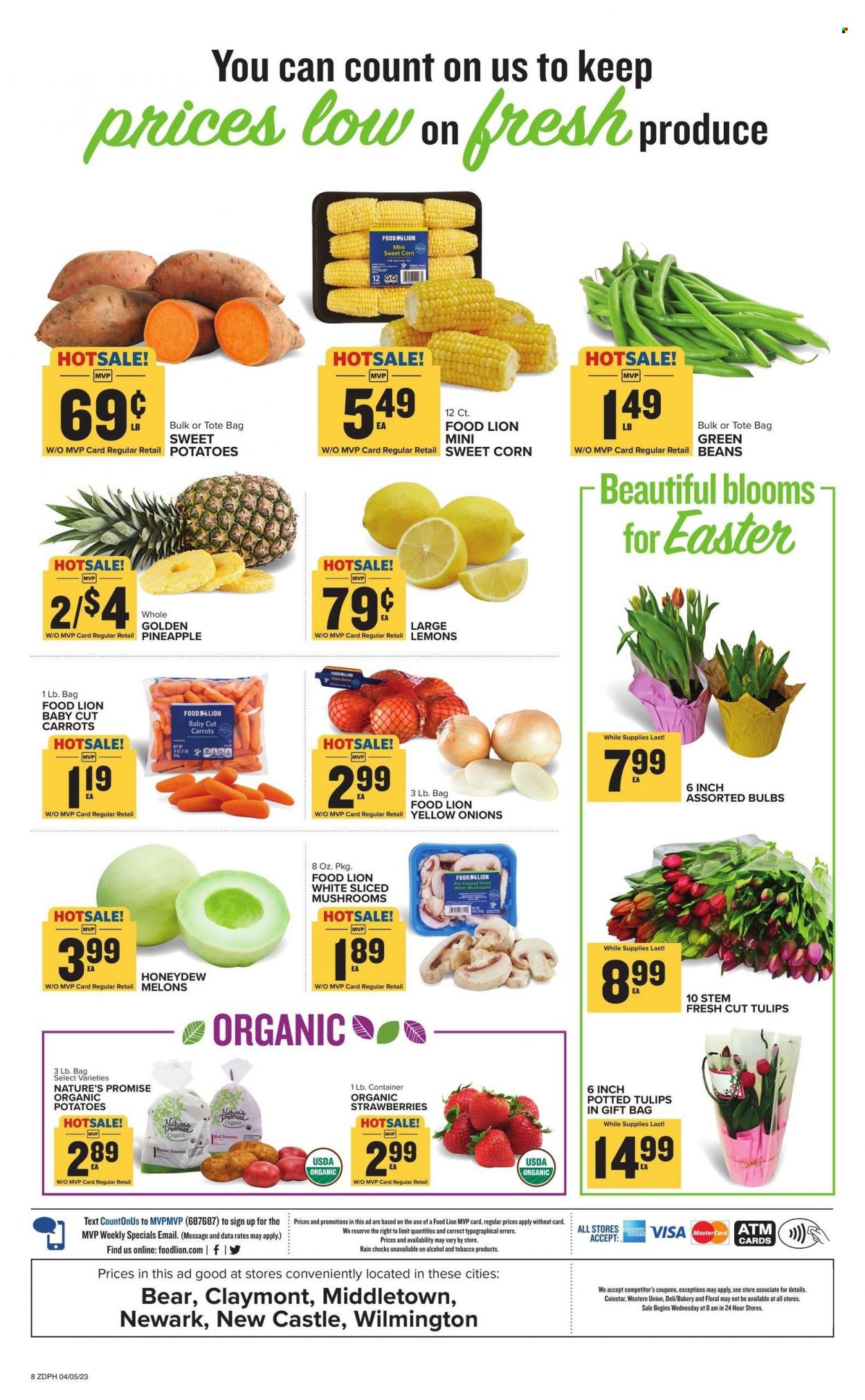 Food Lion ad - 04/05/2023 - 04/11/2023. Page 8