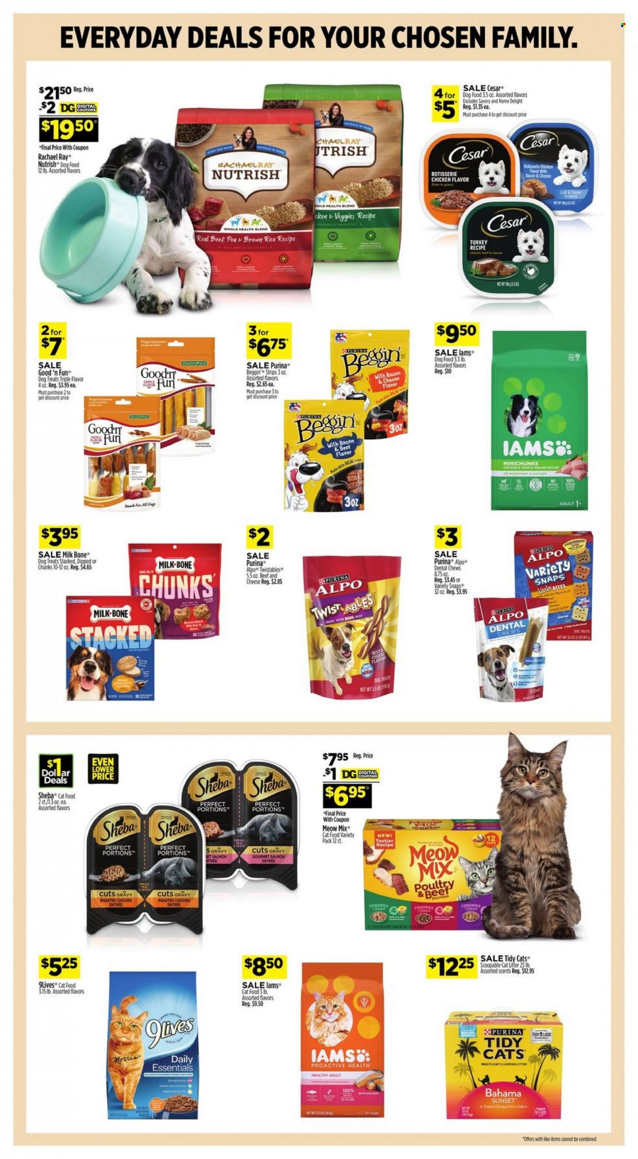 Dollar General ad - 04/09/2023 - 04/15/2023. Page 8