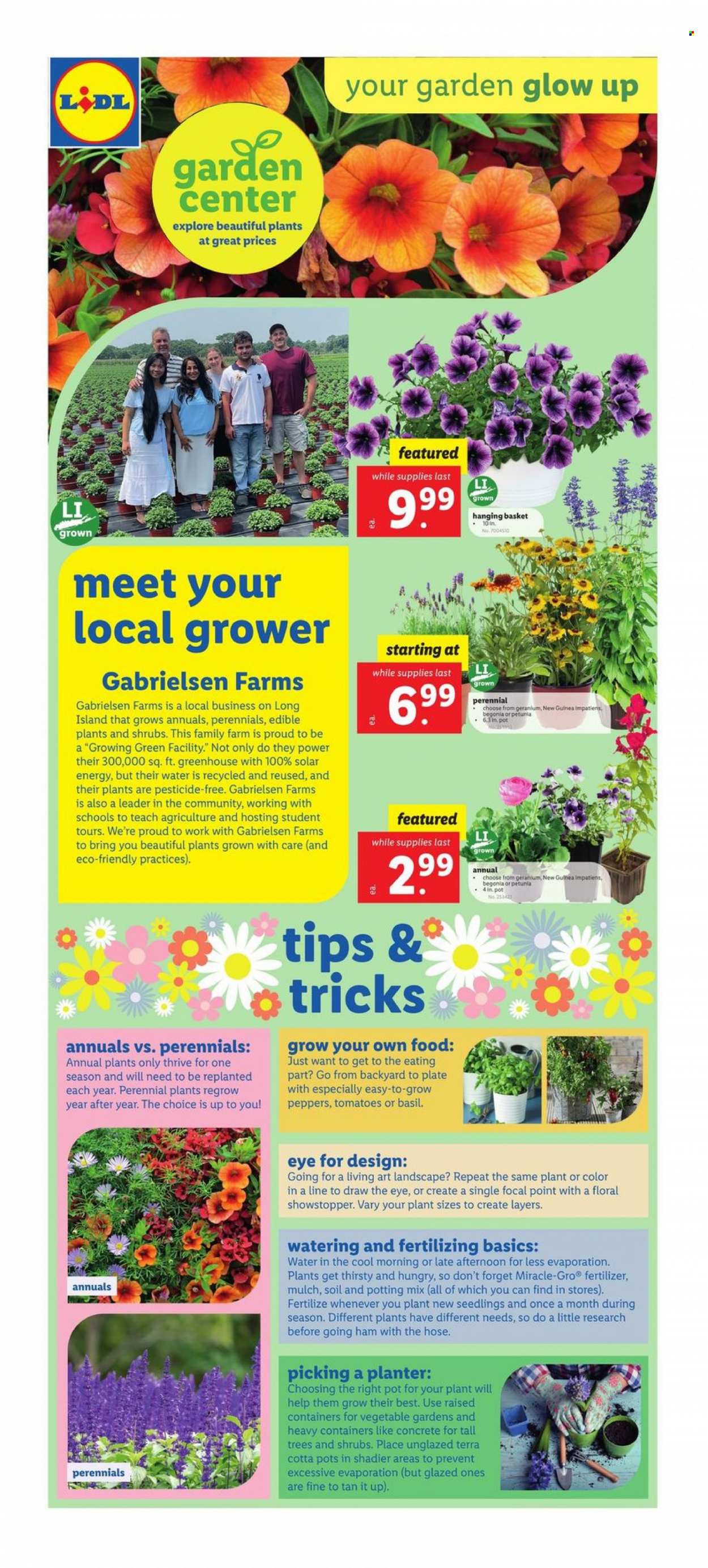 Lidl ad - 04/19/2023 - 04/25/2023. Page 4