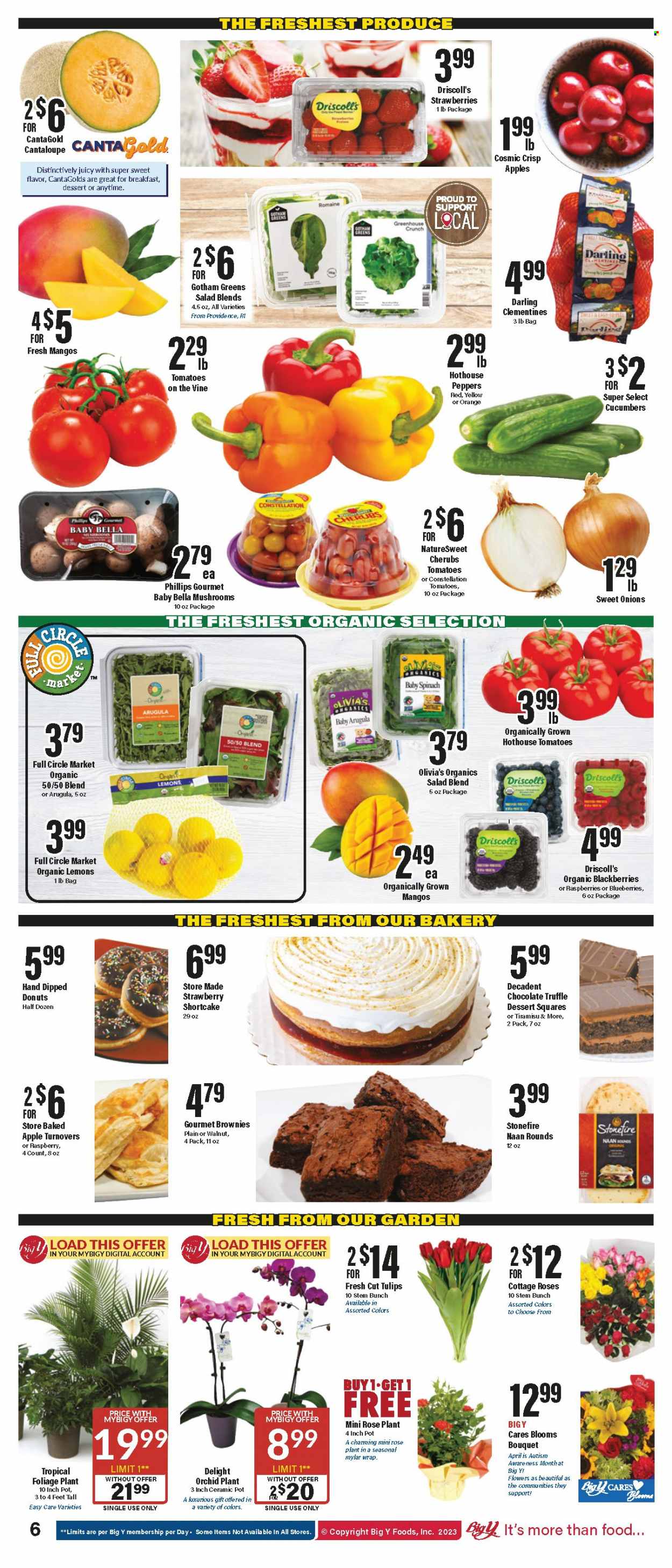 Big Y ad - 04/13/2023 - 04/19/2023. Page 7