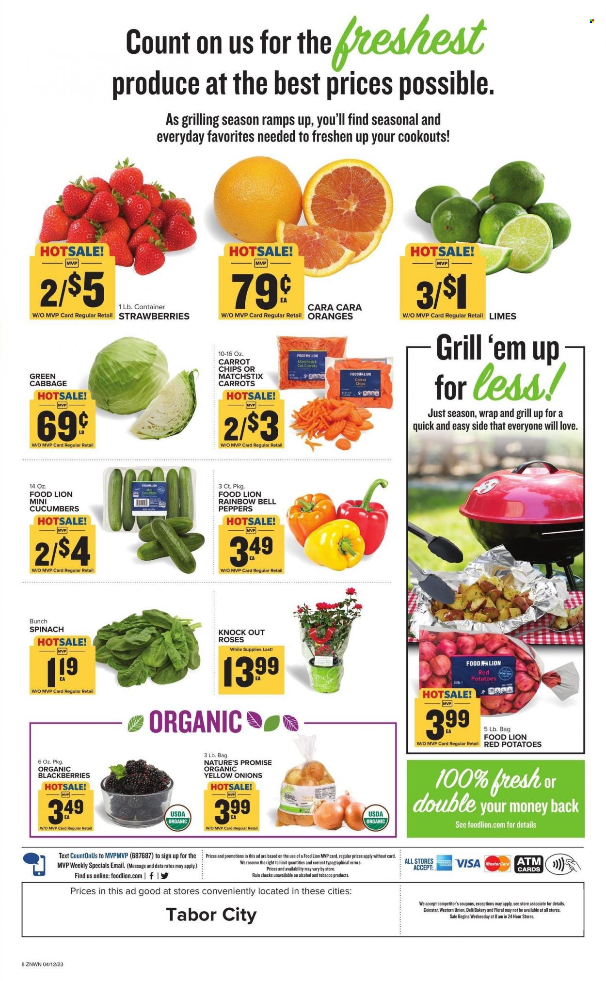Food Lion ad - 04/12/2023 - 04/18/2023. Page 8