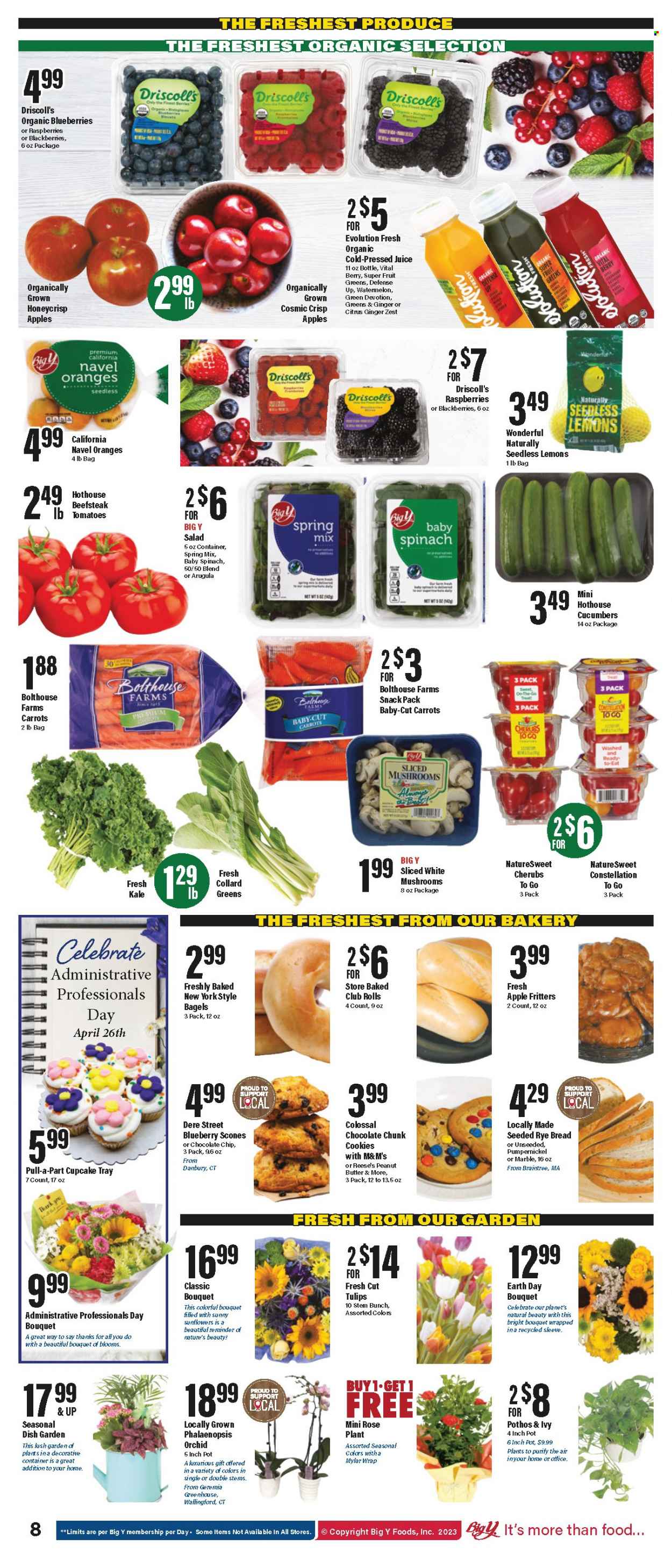 Big Y ad - 04/20/2023 - 04/26/2023. Page 10