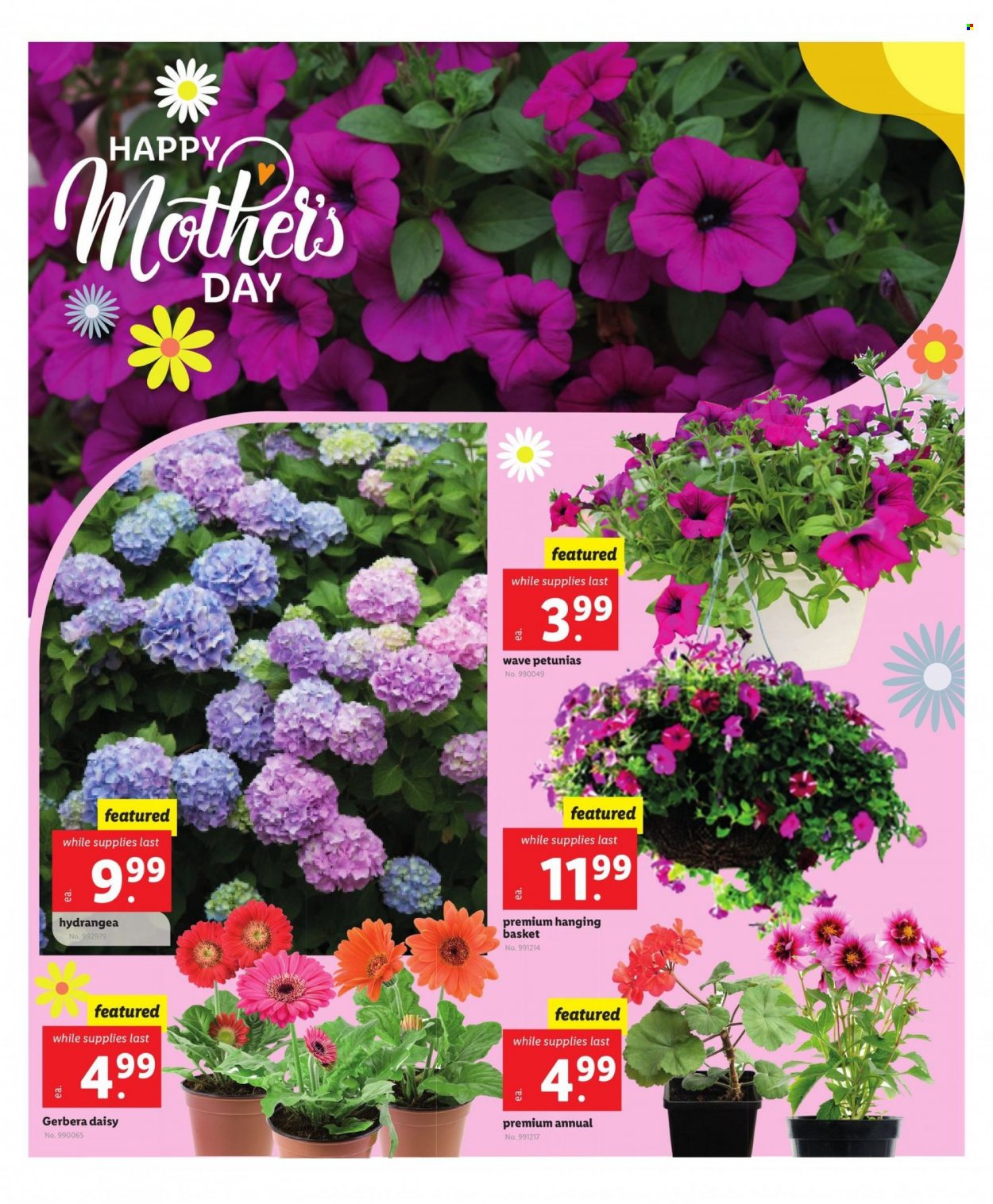 Lidl ad - 05/10/2023 - 05/16/2023. Page 5