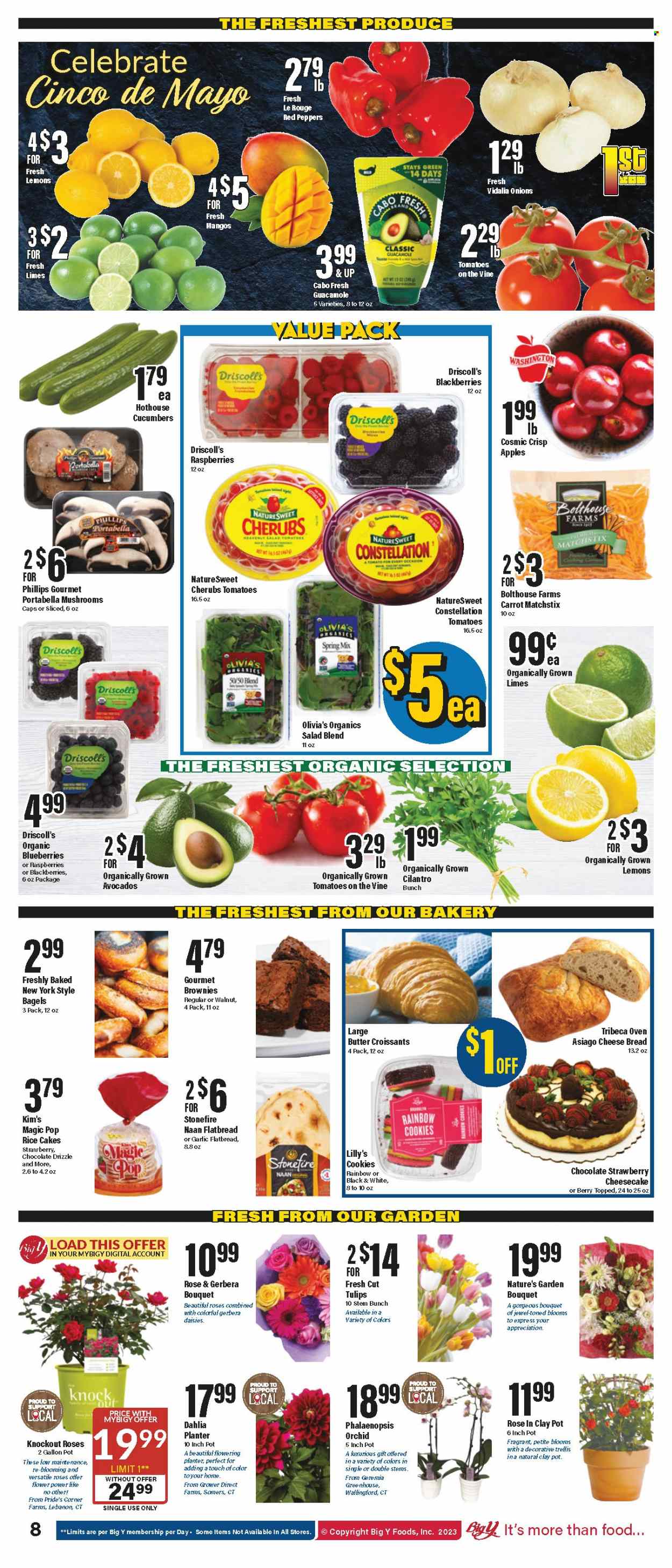 Big Y ad - 05/04/2023 - 05/10/2023. Page 9