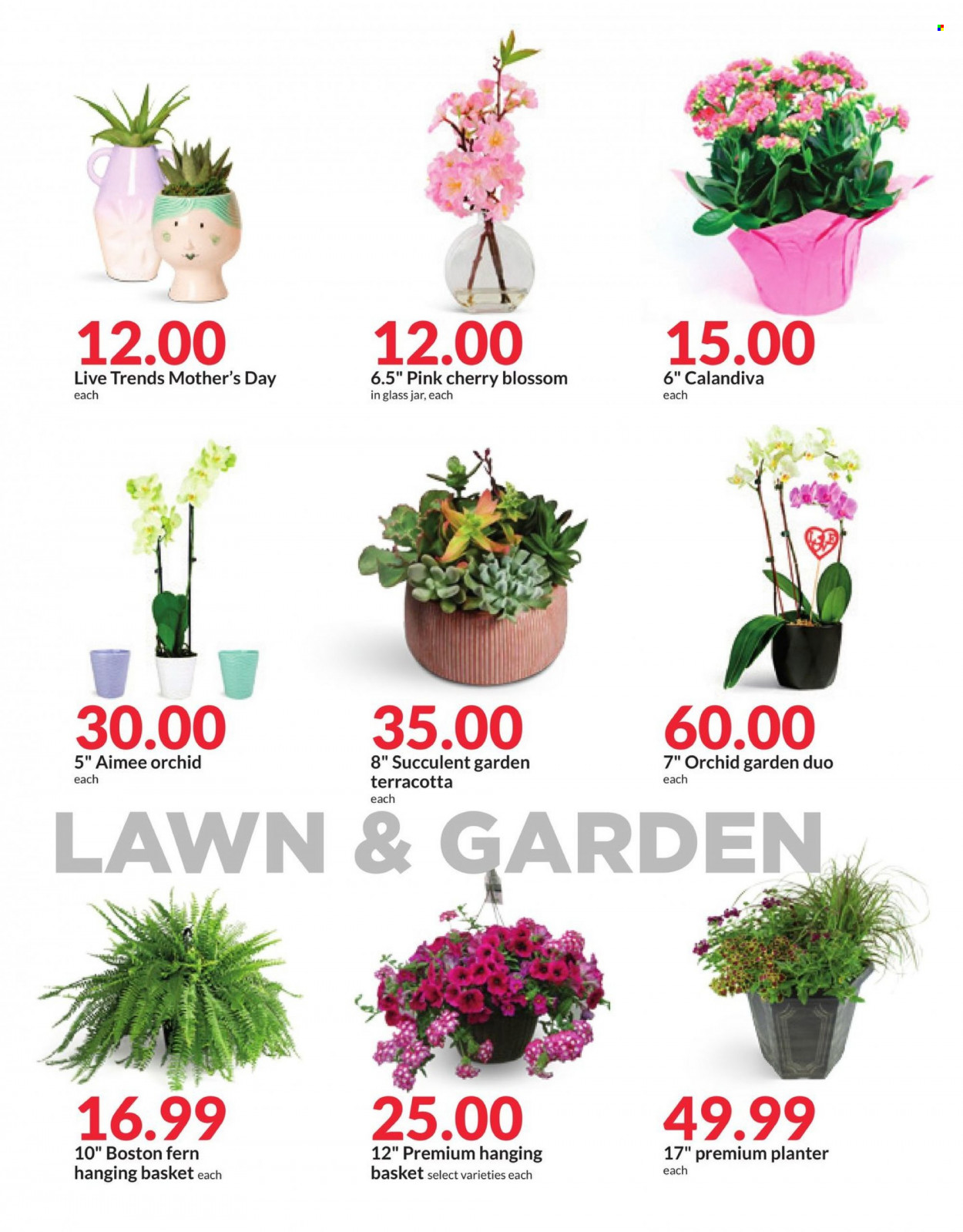 Hy-Vee ad - 05/10/2023 - 05/16/2023. Page 19