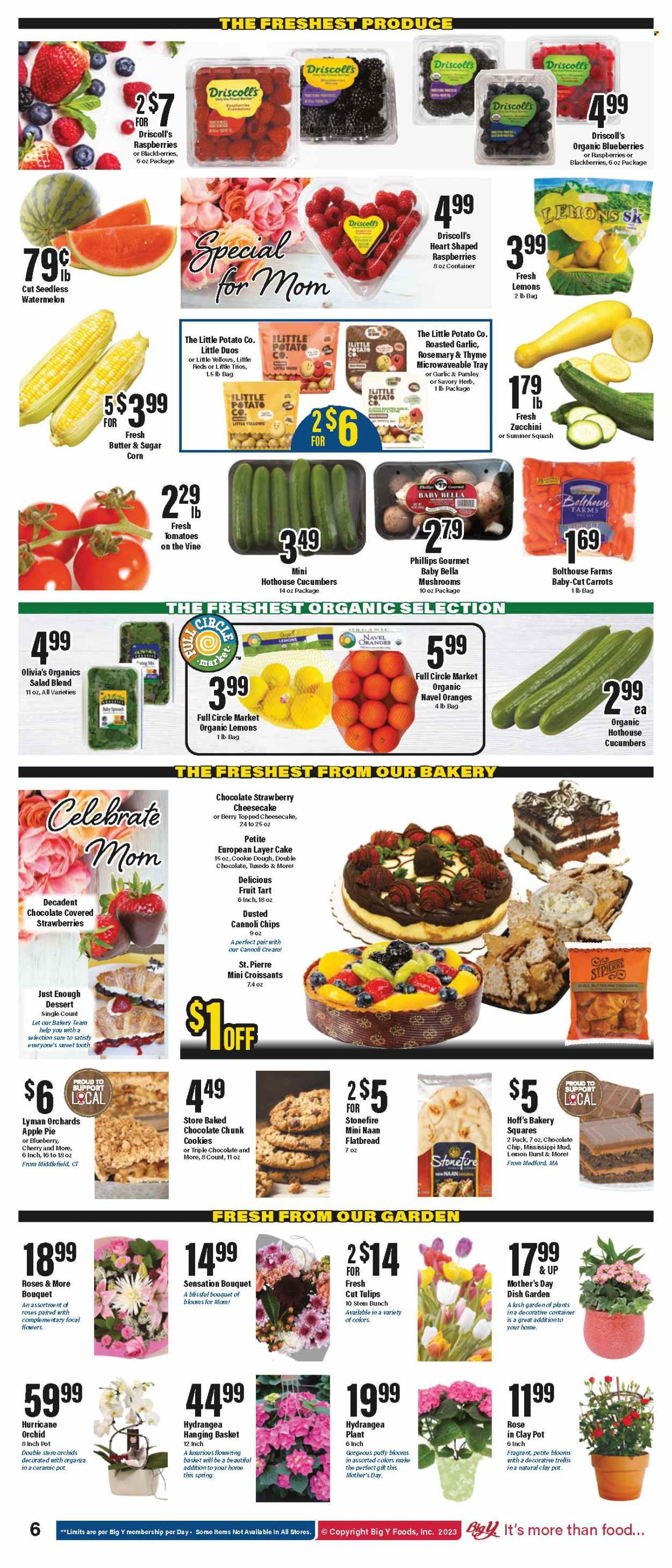 Big Y ad - 05/11/2023 - 05/17/2023. Page 7