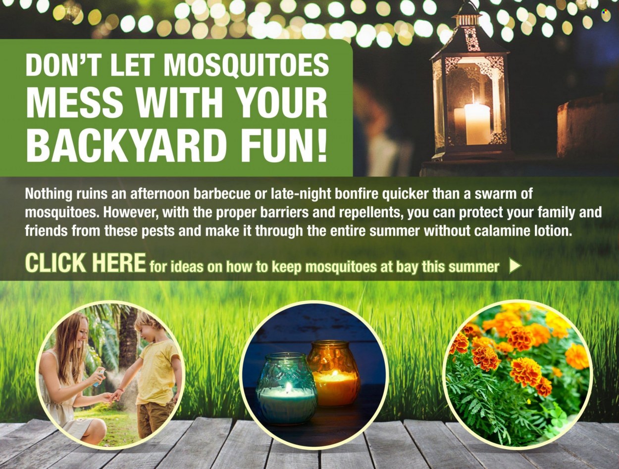 Menards ad - 05/31/2023 - 06/11/2023. Page 5