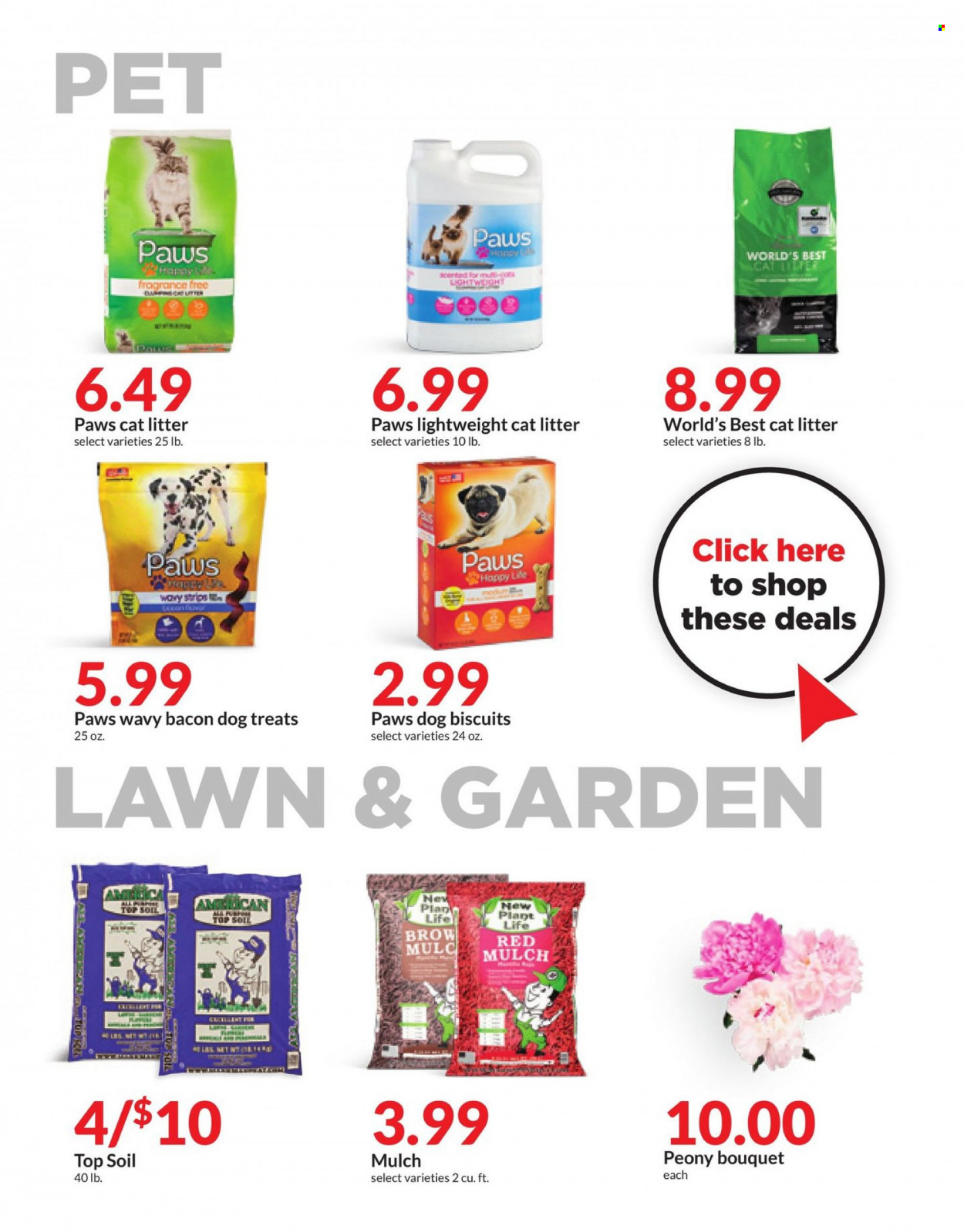 thumbnail - Hy-Vee Flyer - 05/31/2023 - 06/06/2023 - Sales products - bacon, cat litter, Paws, animal treats, dog food, dog biscuits, bouquet. Page 45.