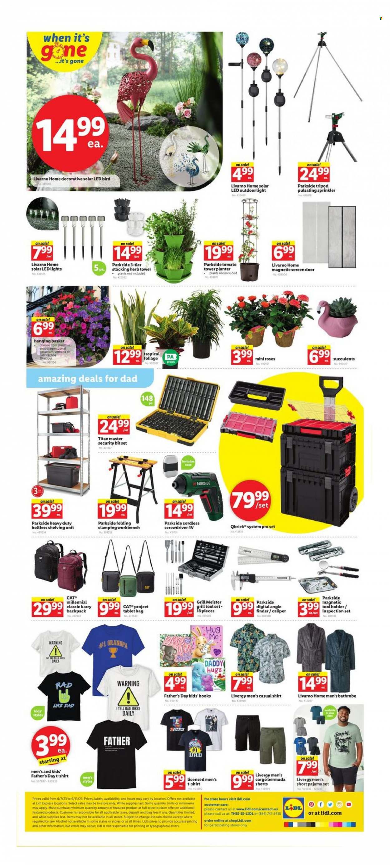 Lidl ad - 06/07/2023 - 06/13/2023. Page 2