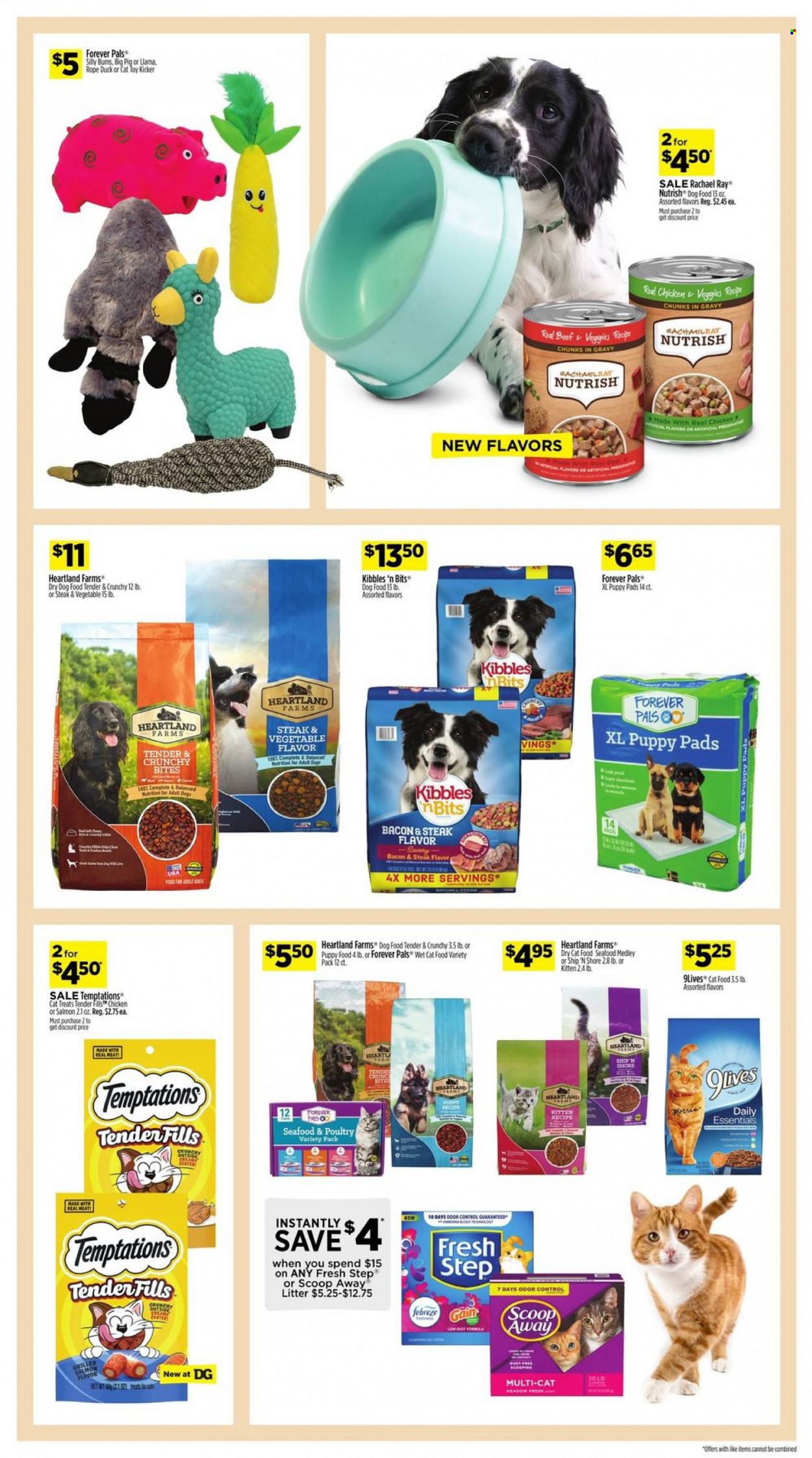 Dollar General ad - 06/04/2023 - 06/10/2023. Page 9