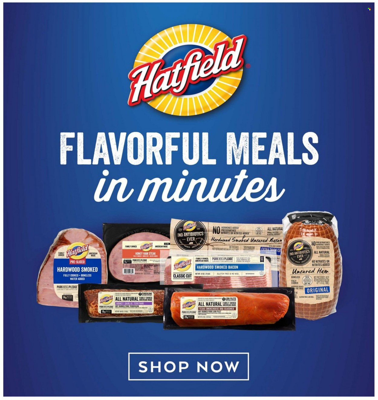 Hannaford ad - 06/11/2023 - 06/17/2023. Page 19