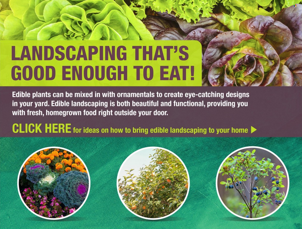 Menards ad - 06/08/2023 - 06/18/2023. Page 11