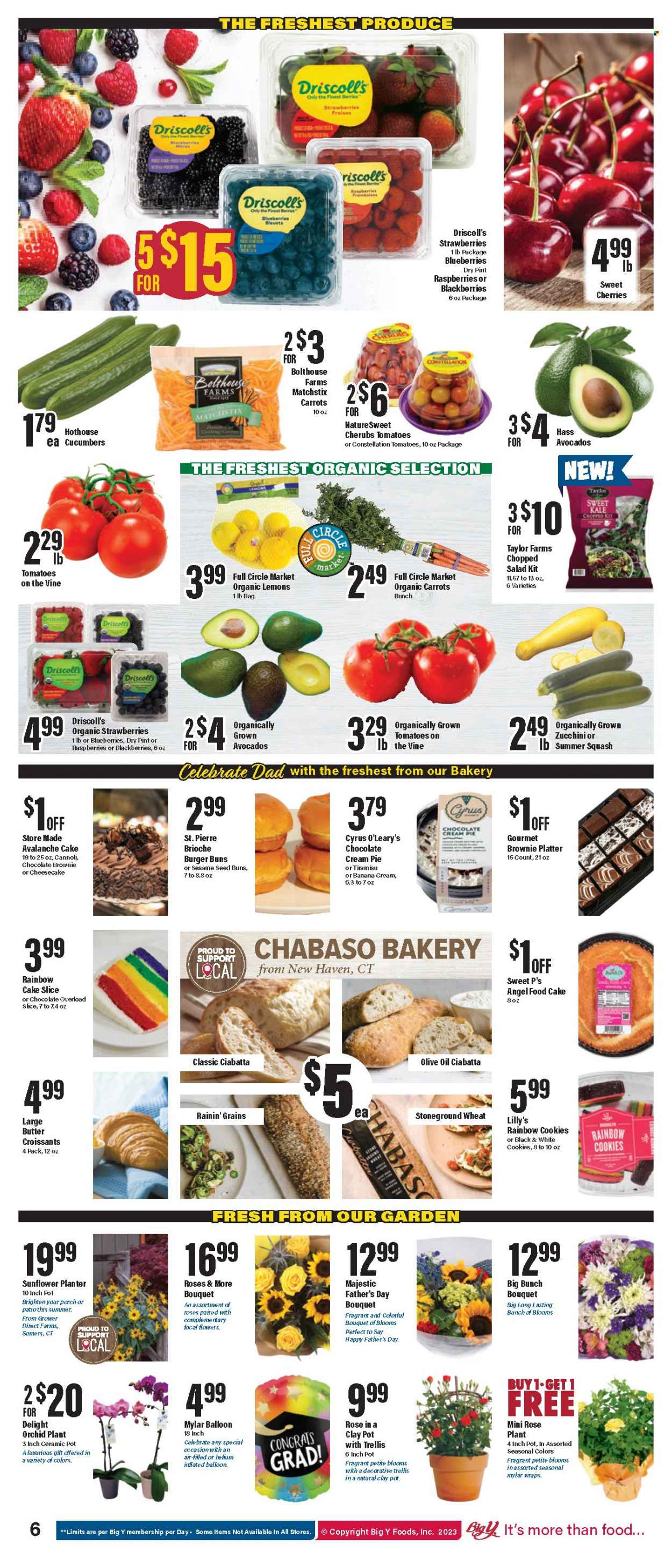 Big Y ad - 06/15/2023 - 06/21/2023. Page 9