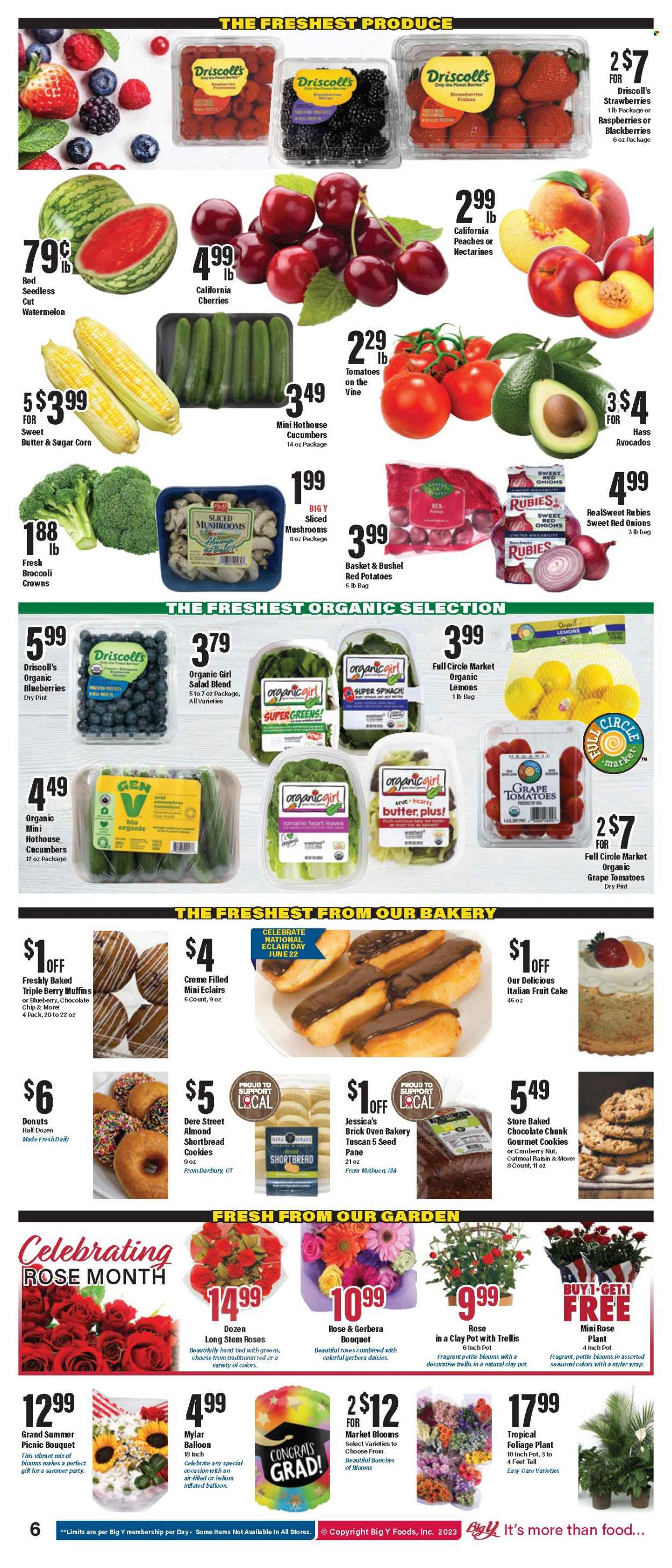 Big Y ad - 06/22/2023 - 06/28/2023. Page 7