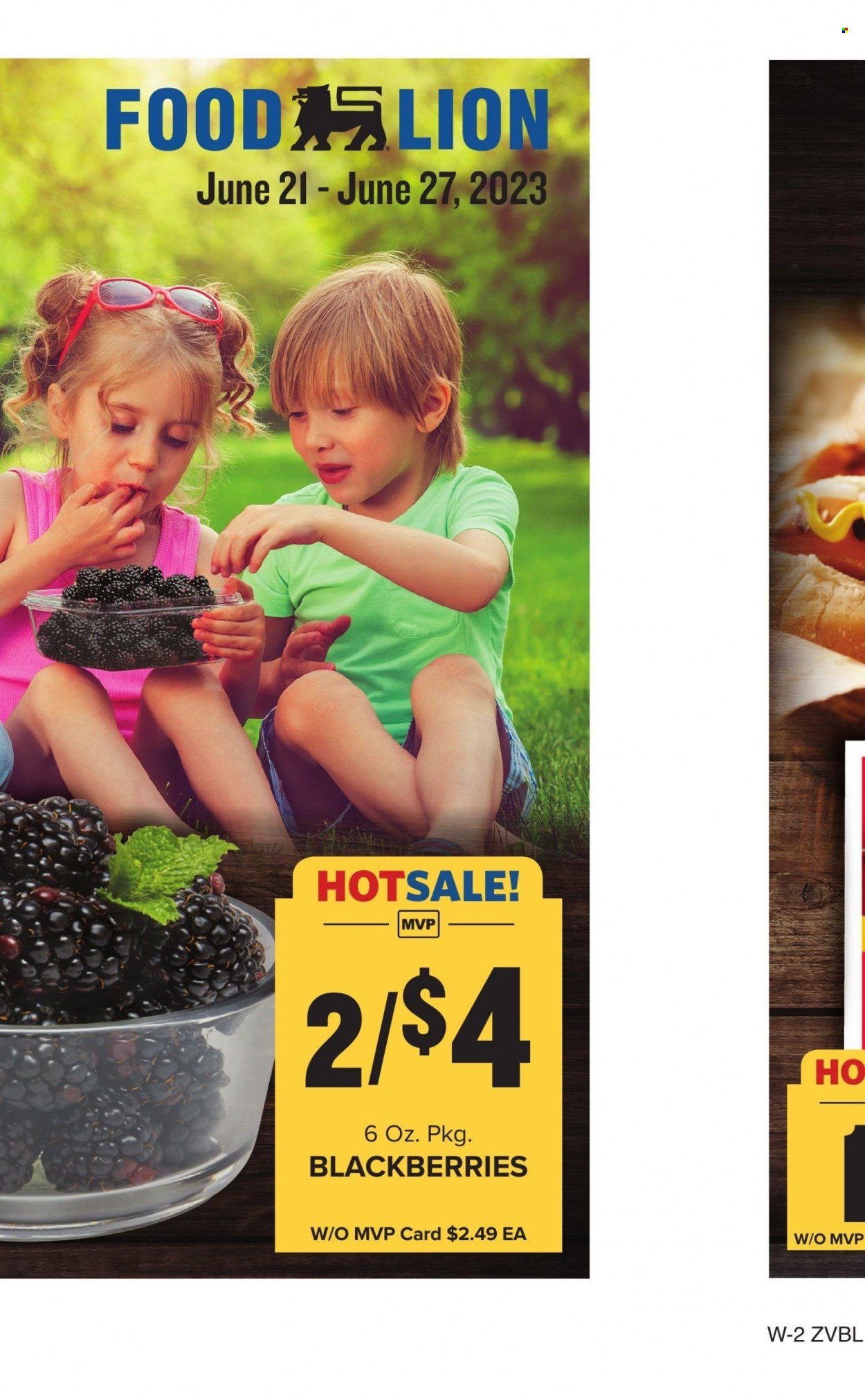 Food Lion ad - 06/21/2023 - 06/27/2023. Page 9