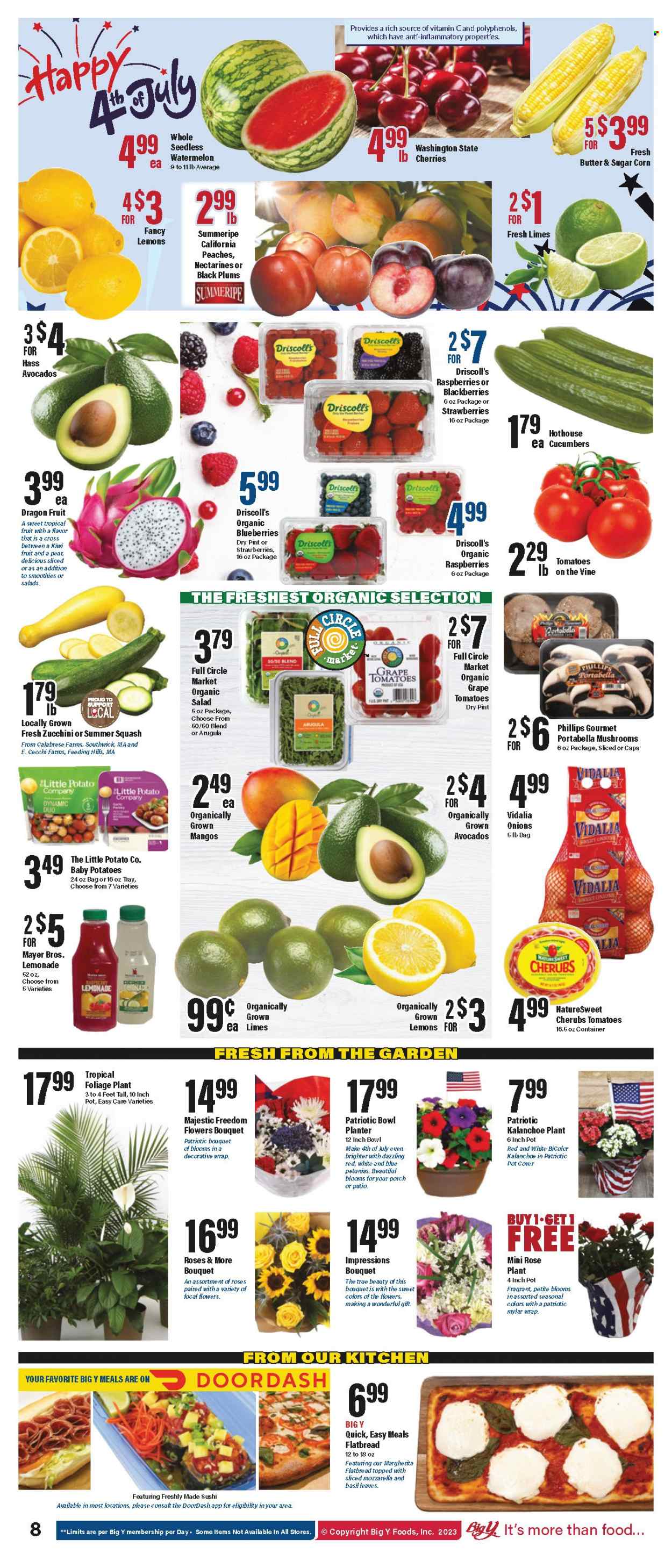 Big Y ad - 06/29/2023 - 07/05/2023. Page 9