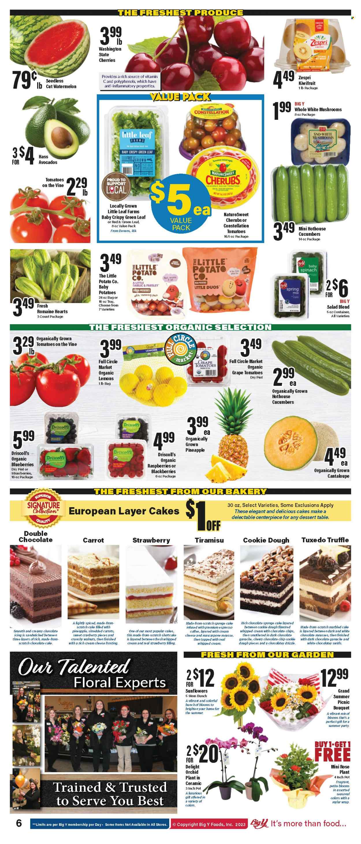 Big Y ad - 07/06/2023 - 07/12/2023. Page 7