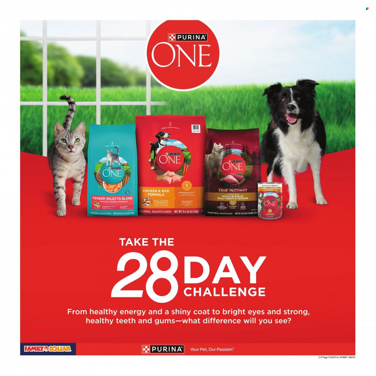 Family Dollar ad - 07/09/2023 - 07/15/2023. Page 5