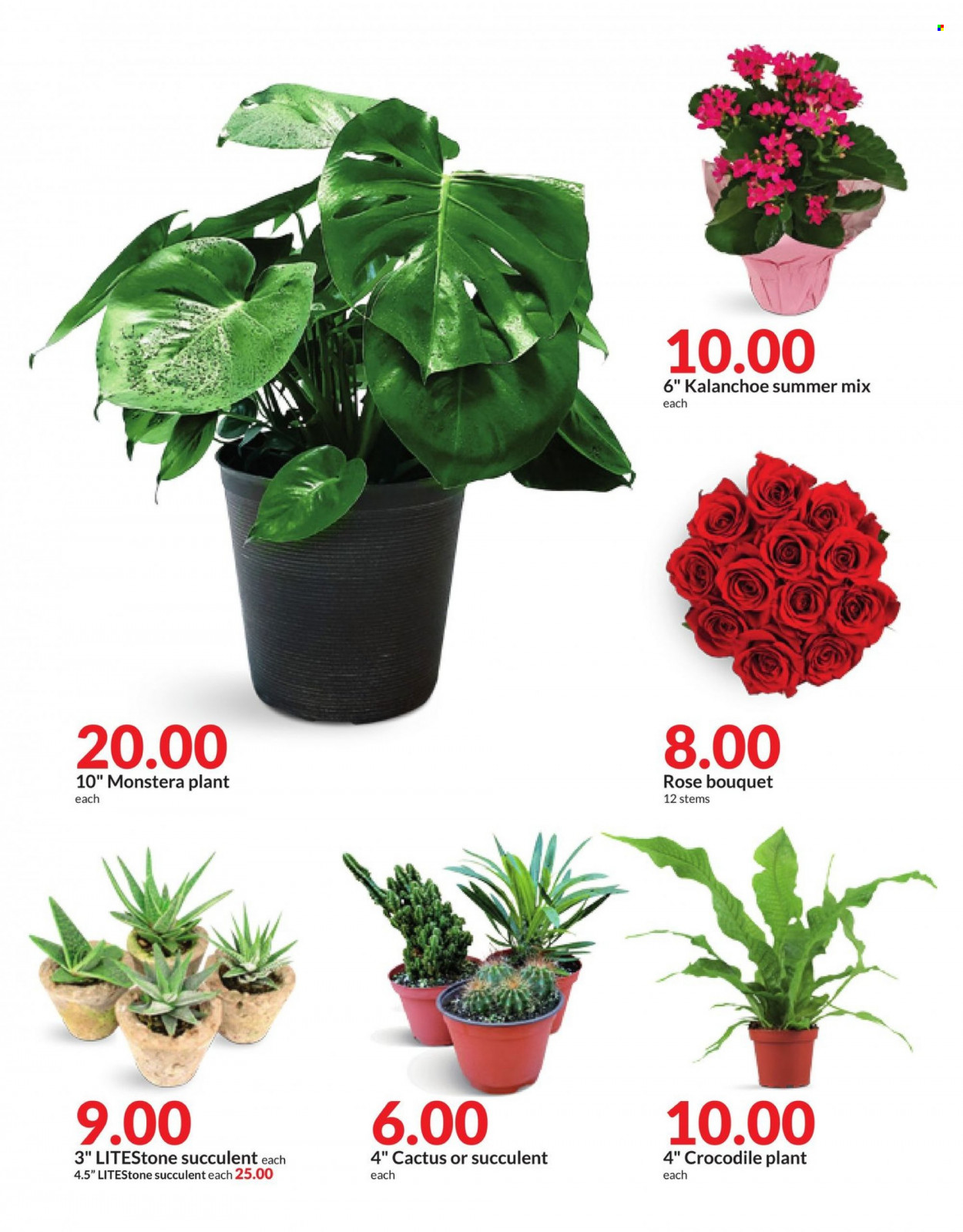 Hy-Vee ad - 07/10/2023 - 07/16/2023. Page 56